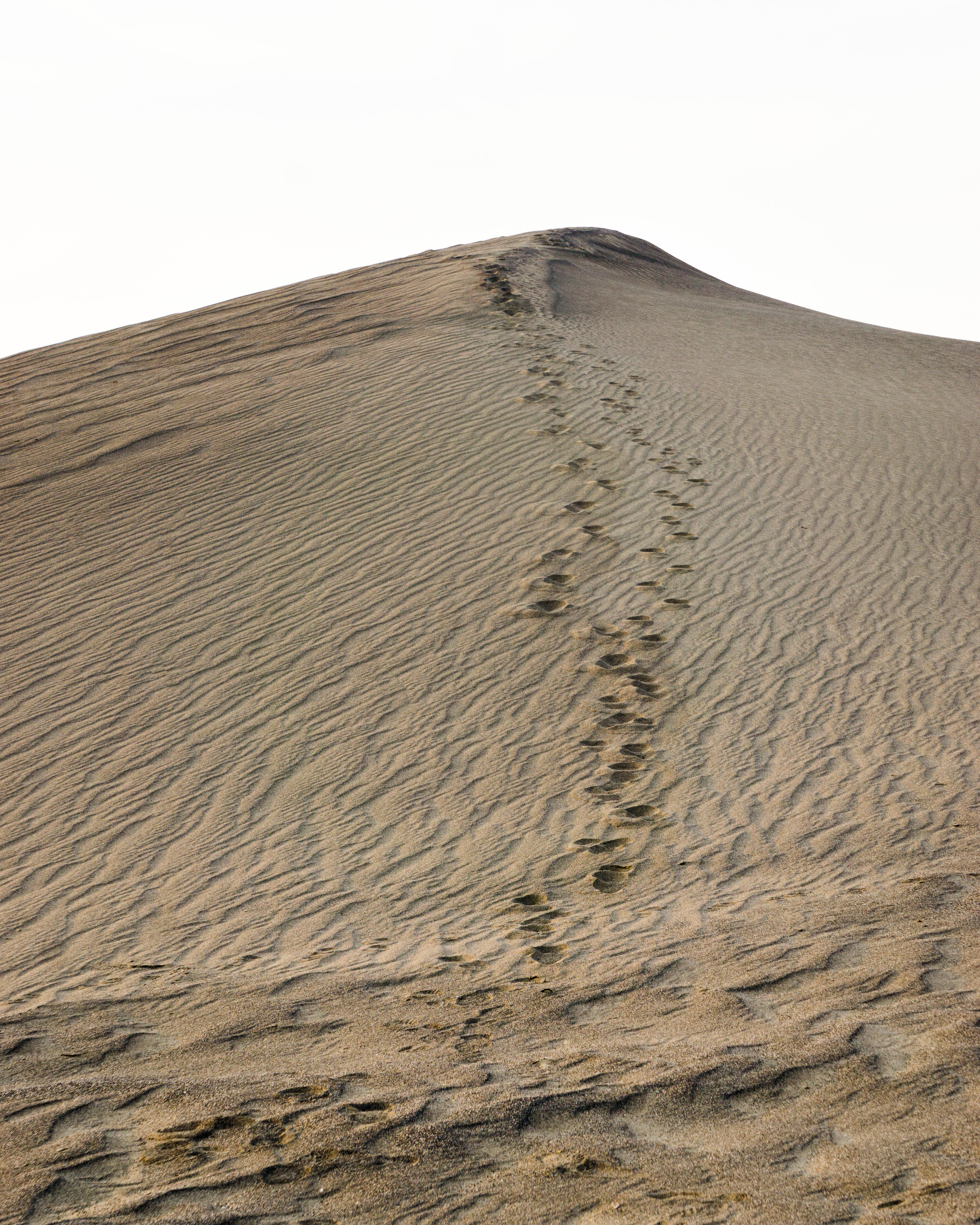 Hike along the White Bluffs of Hanford Reach
