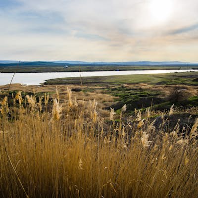 Hike along the White Bluffs of Hanford Reach