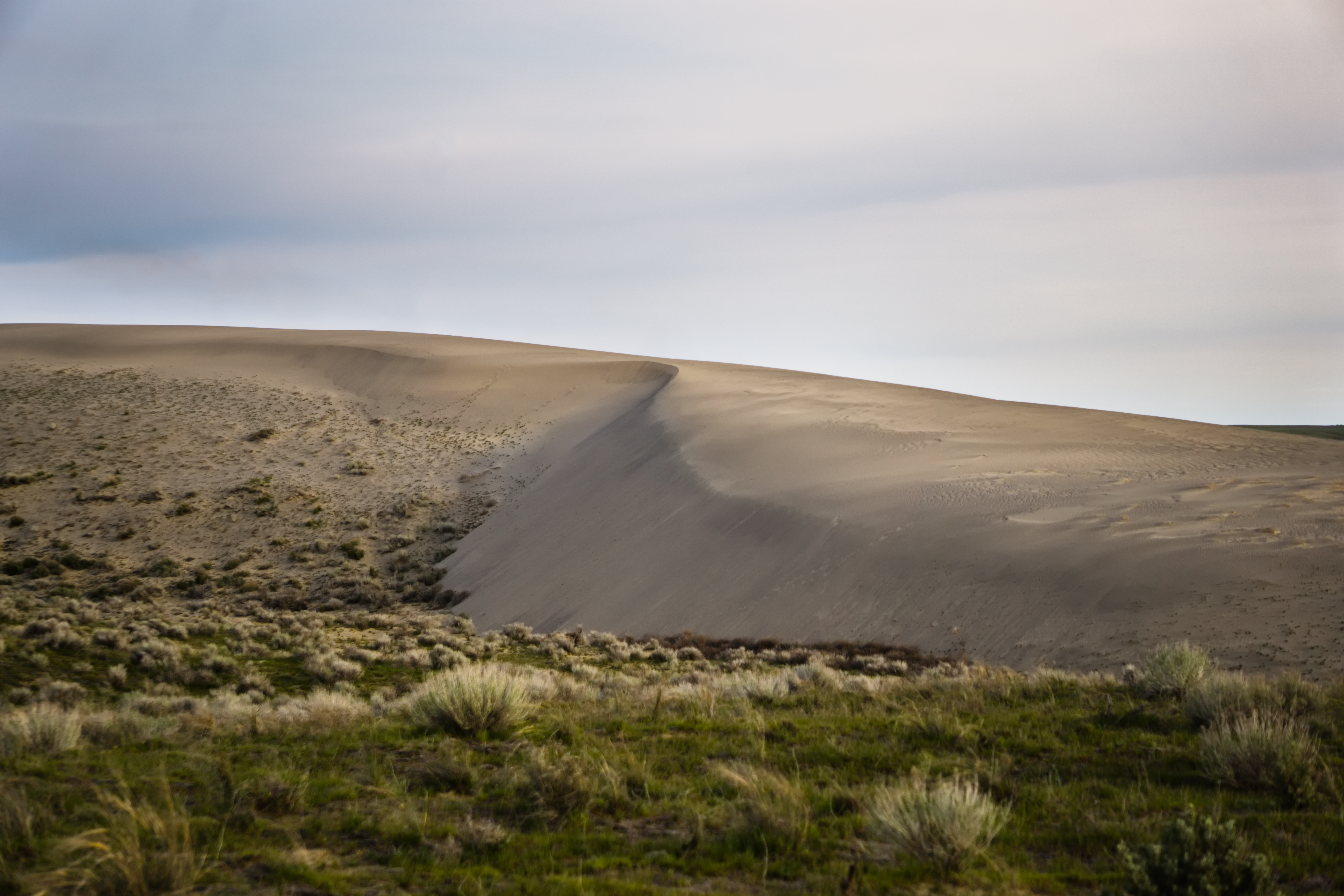 Hike along the White Bluffs of Hanford Reach