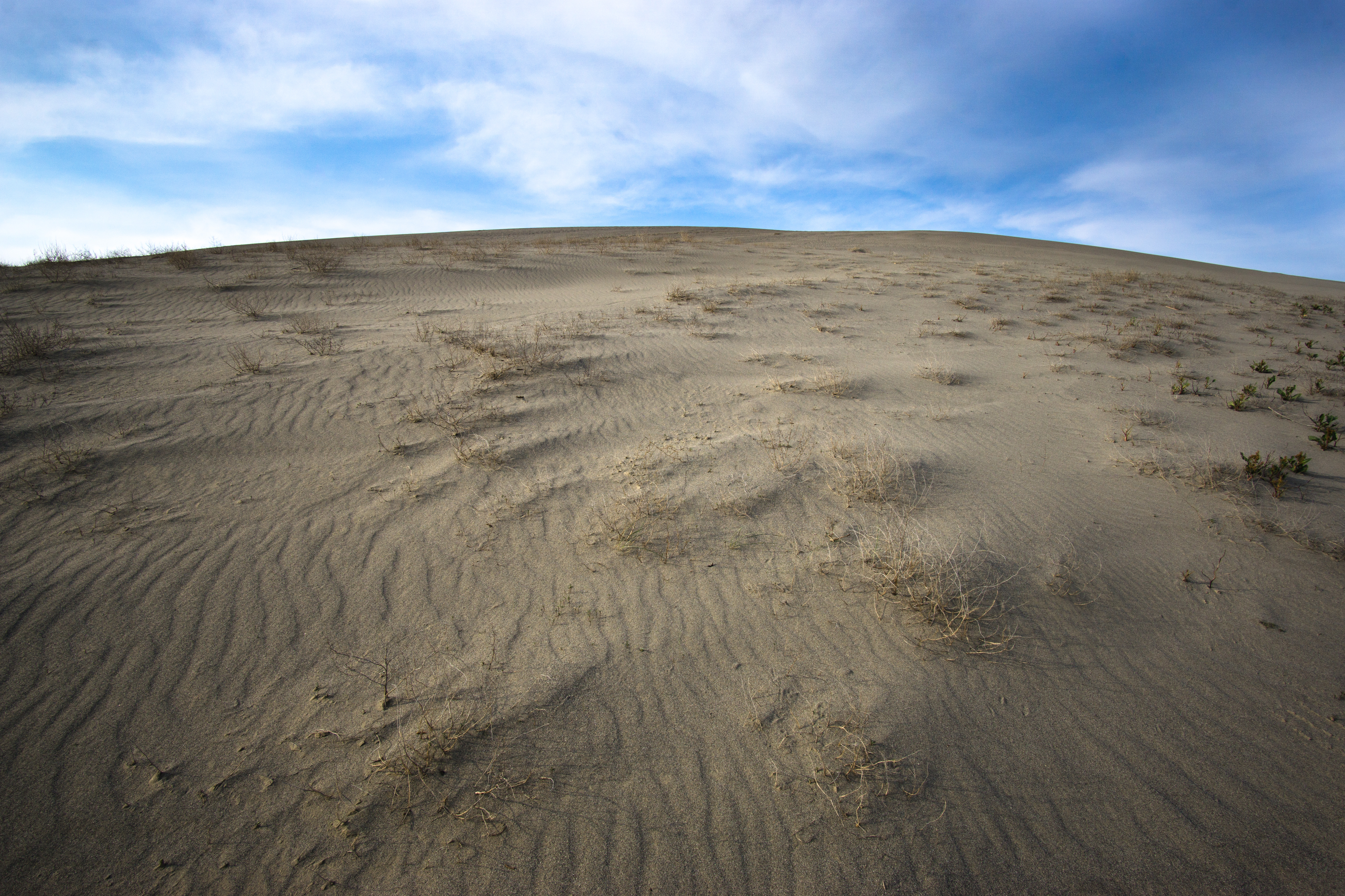 Hike along the White Bluffs of Hanford Reach