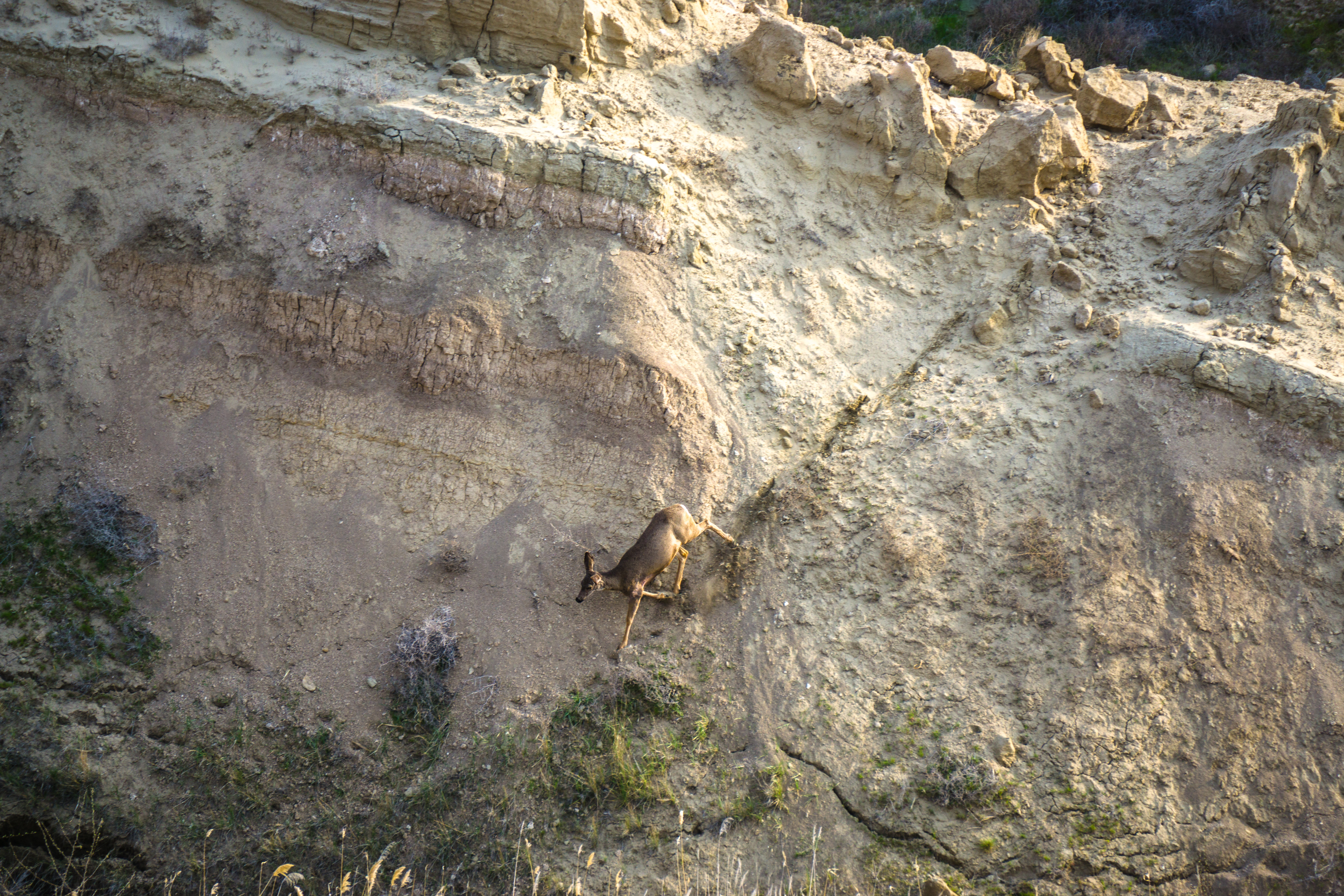 Hike along the White Bluffs of Hanford Reach