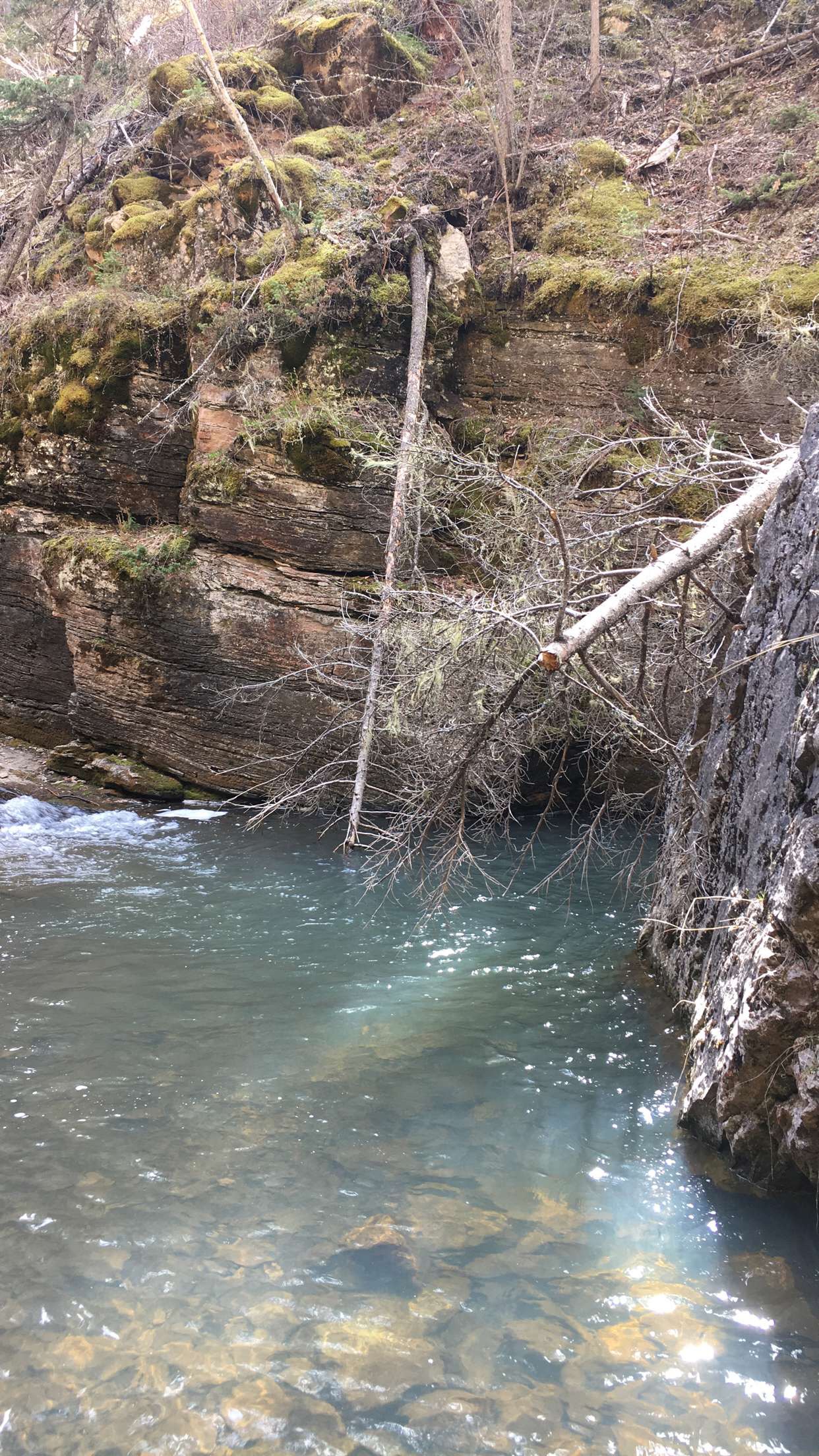 Hike to Devil's Bathtub, Black Hills National Forest
