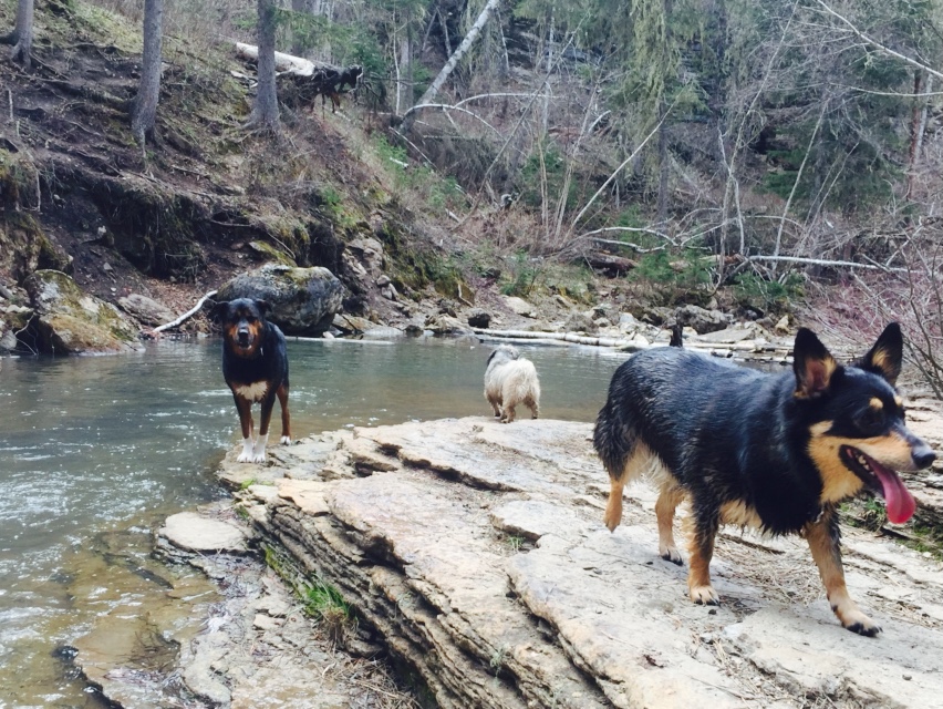 Hike to Devil's Bathtub, Black Hills National Forest