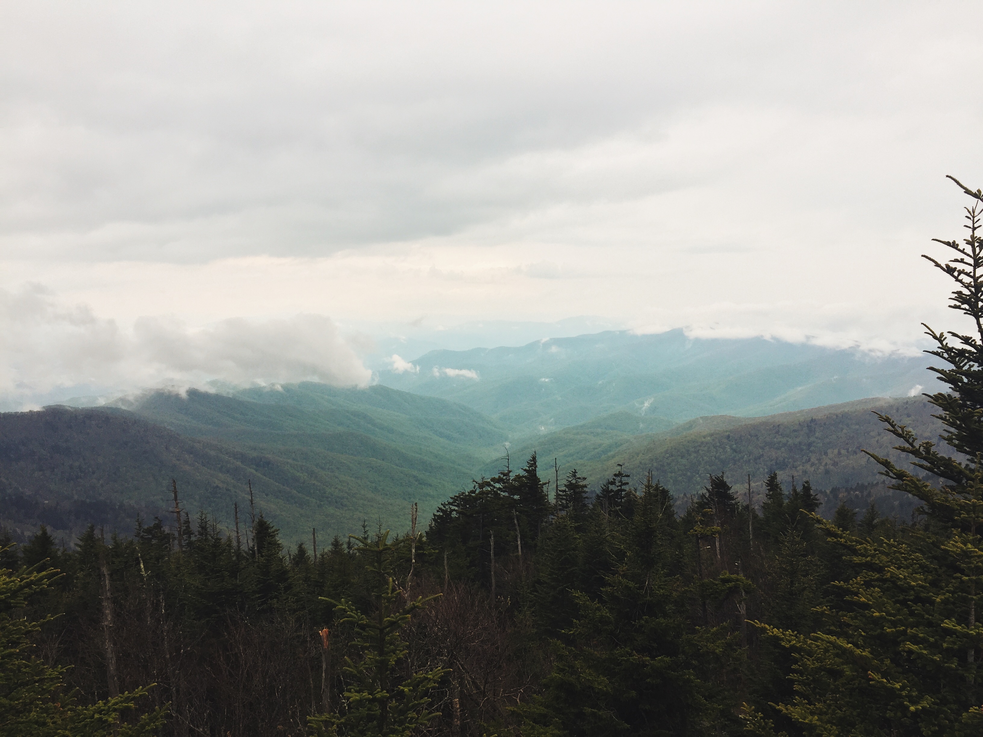 Southern Smokies: Fontana Lake to Clingman's Dome