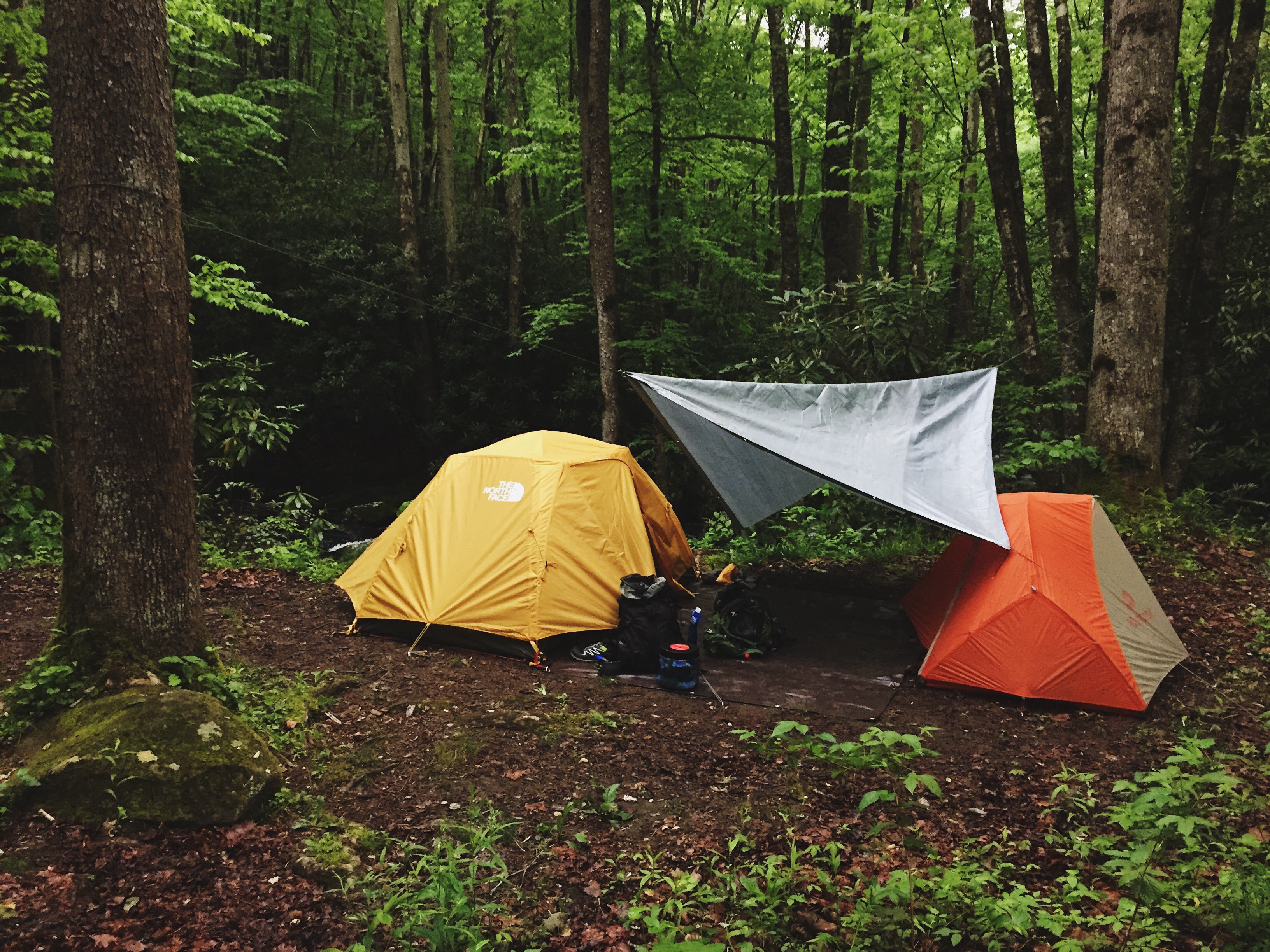 Southern Smokies: Fontana Lake to Clingman's Dome