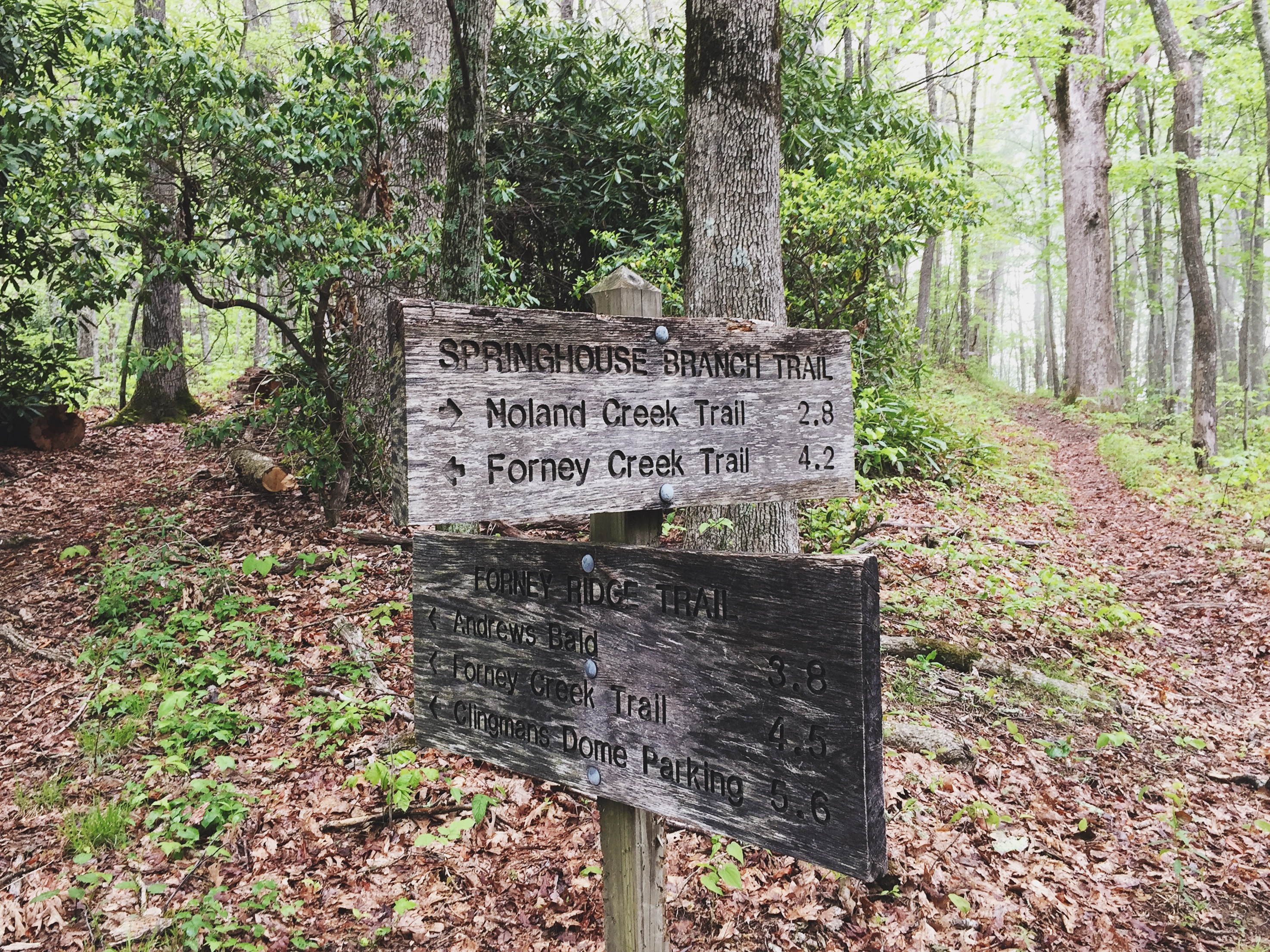 Southern Smokies: Fontana Lake to Clingman's Dome