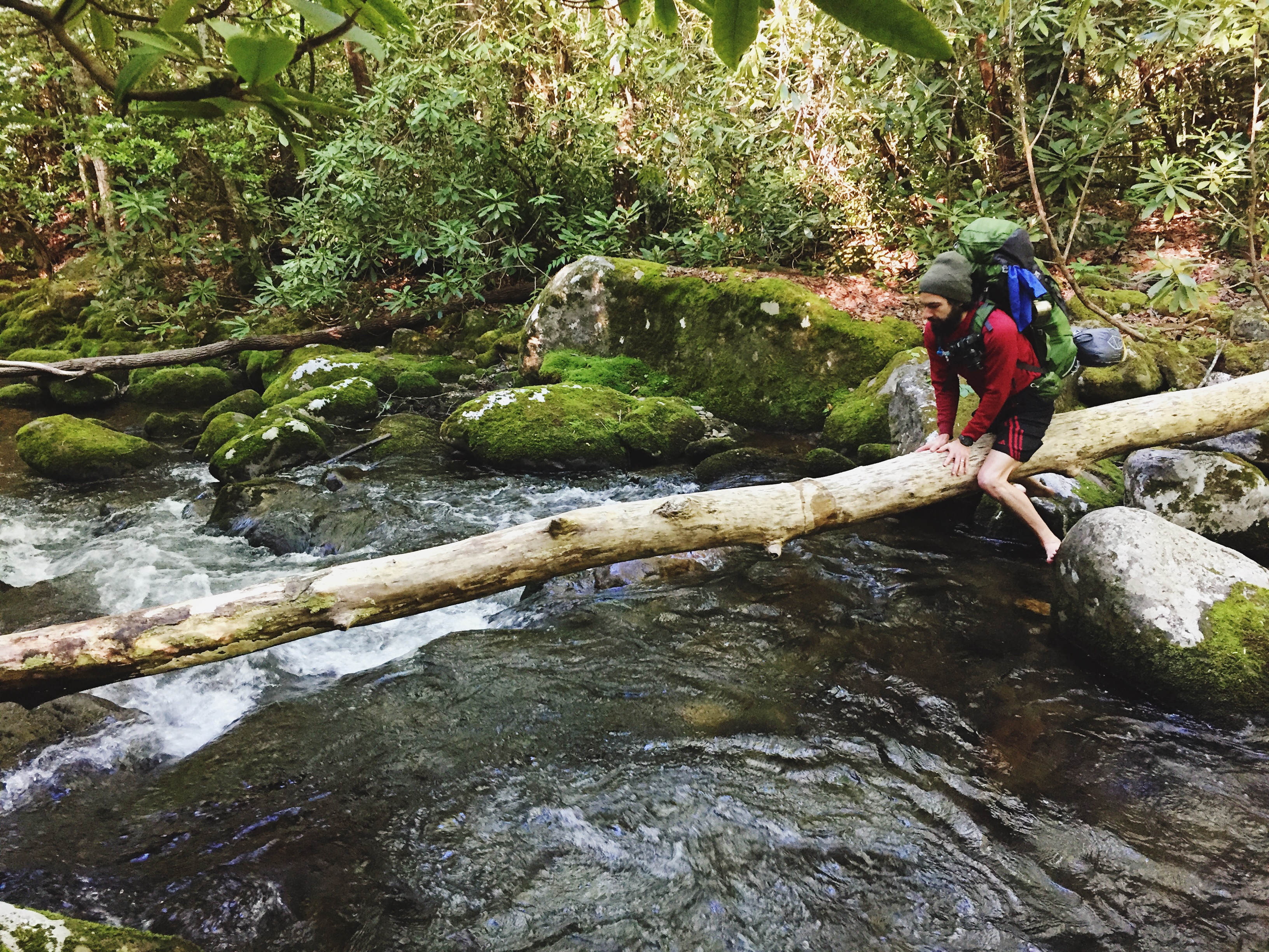 Southern Smokies: Fontana Lake to Clingman's Dome