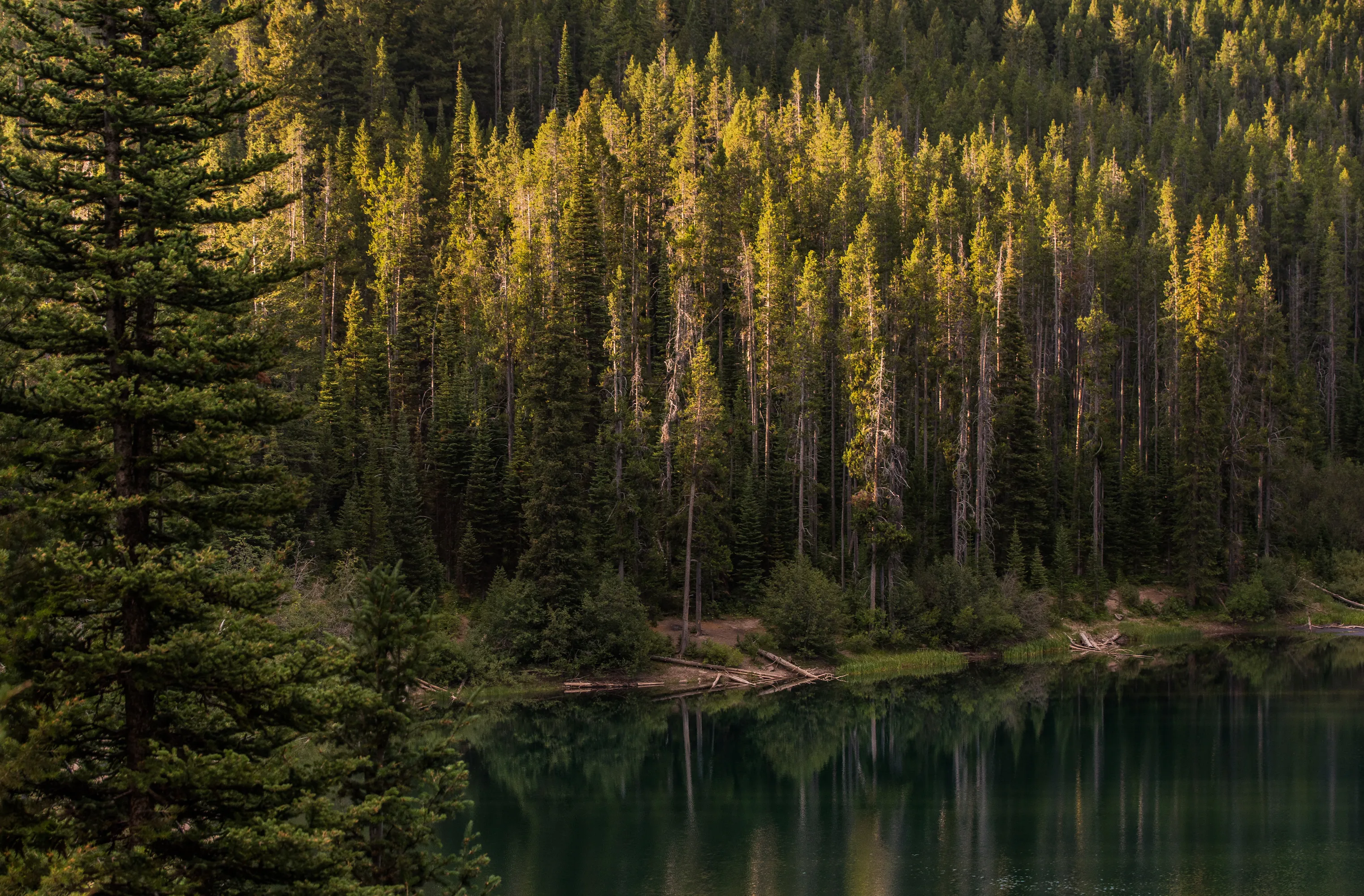 Packsaddle Lake