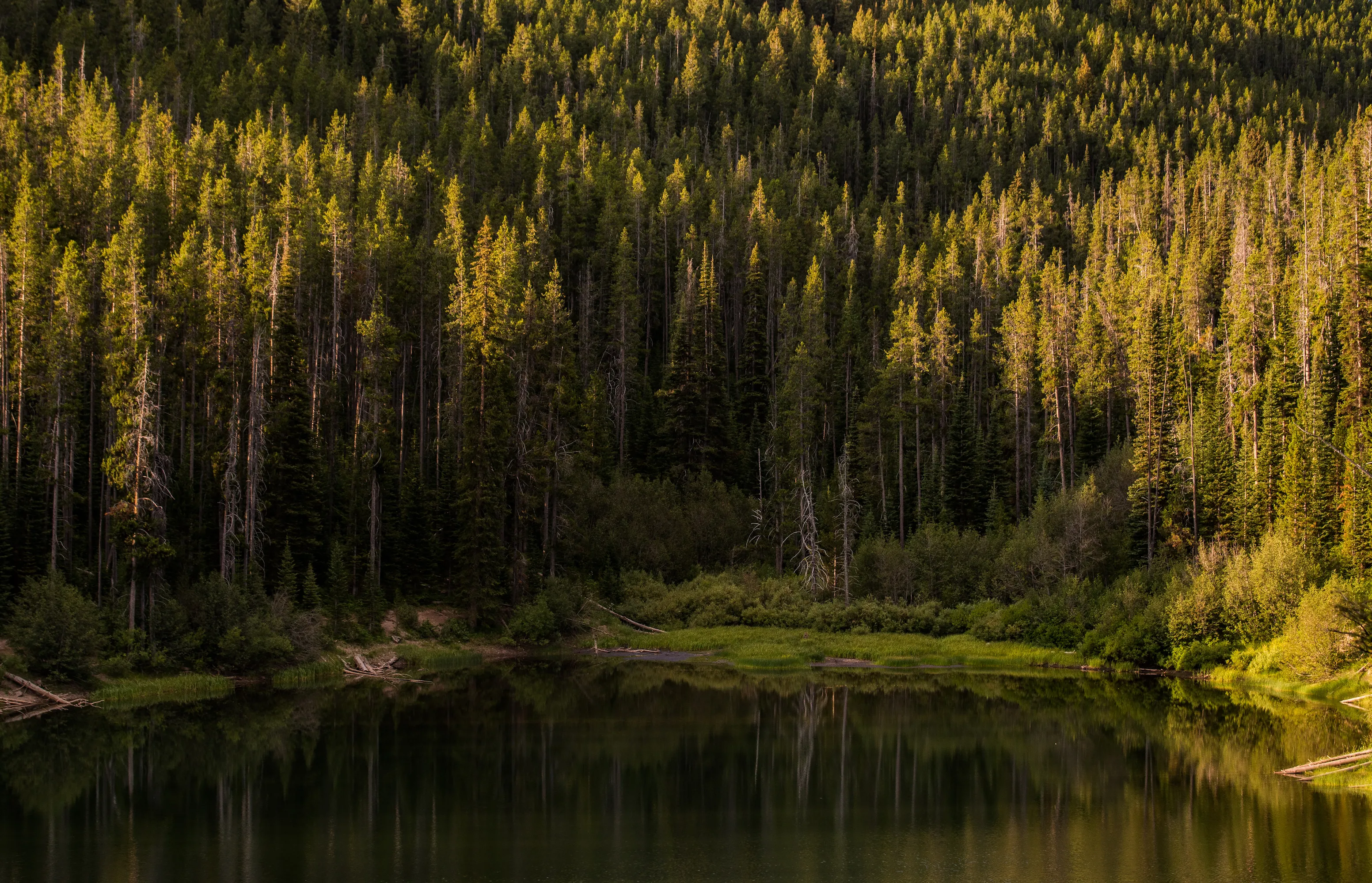 Packsaddle Lake