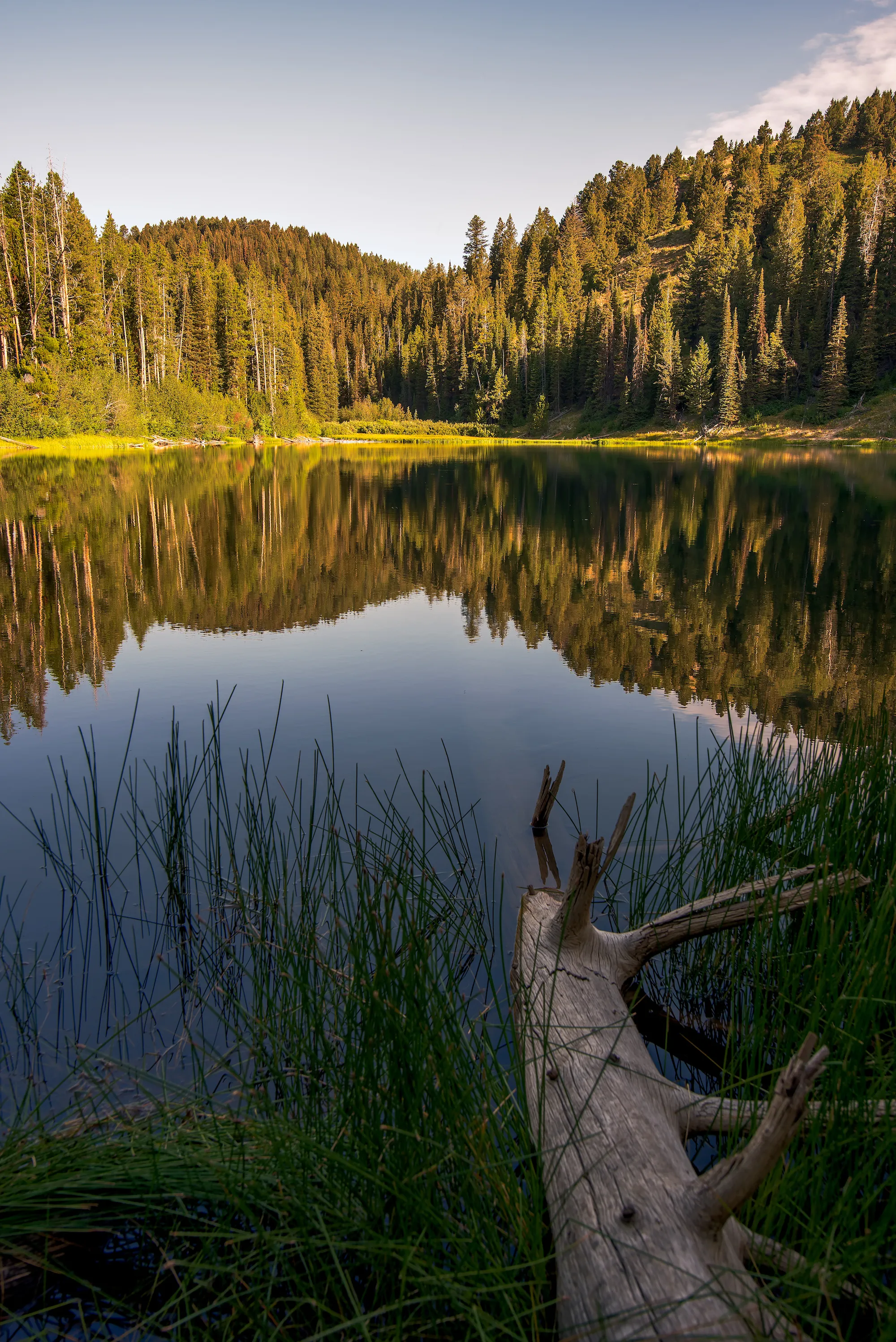 Packsaddle Lake