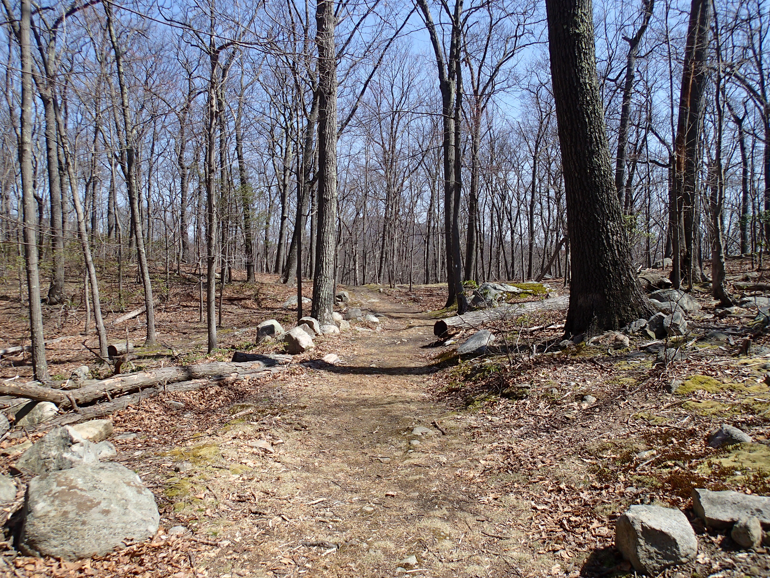 Hike the North Point Loop