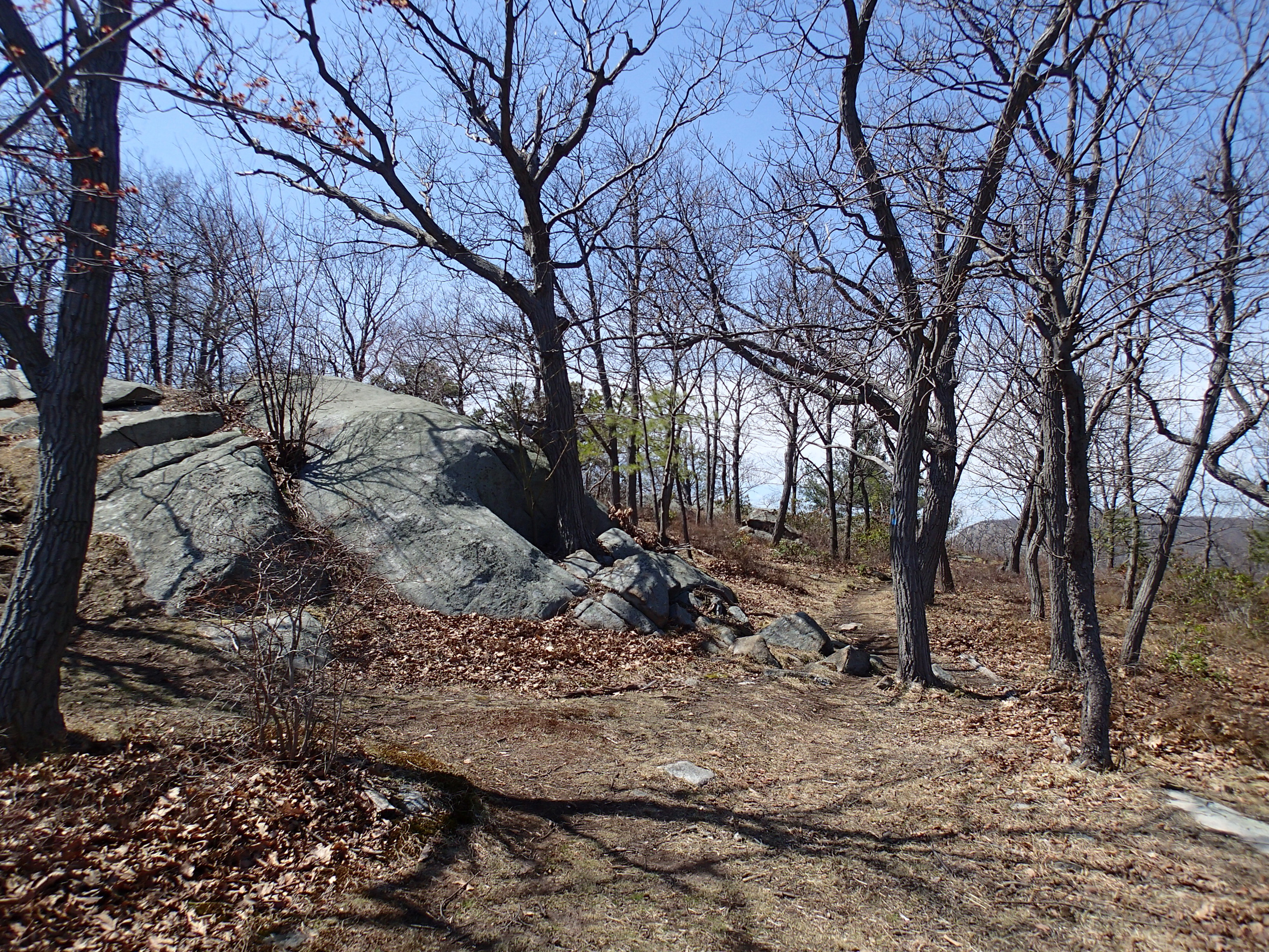 Hike the North Point Loop