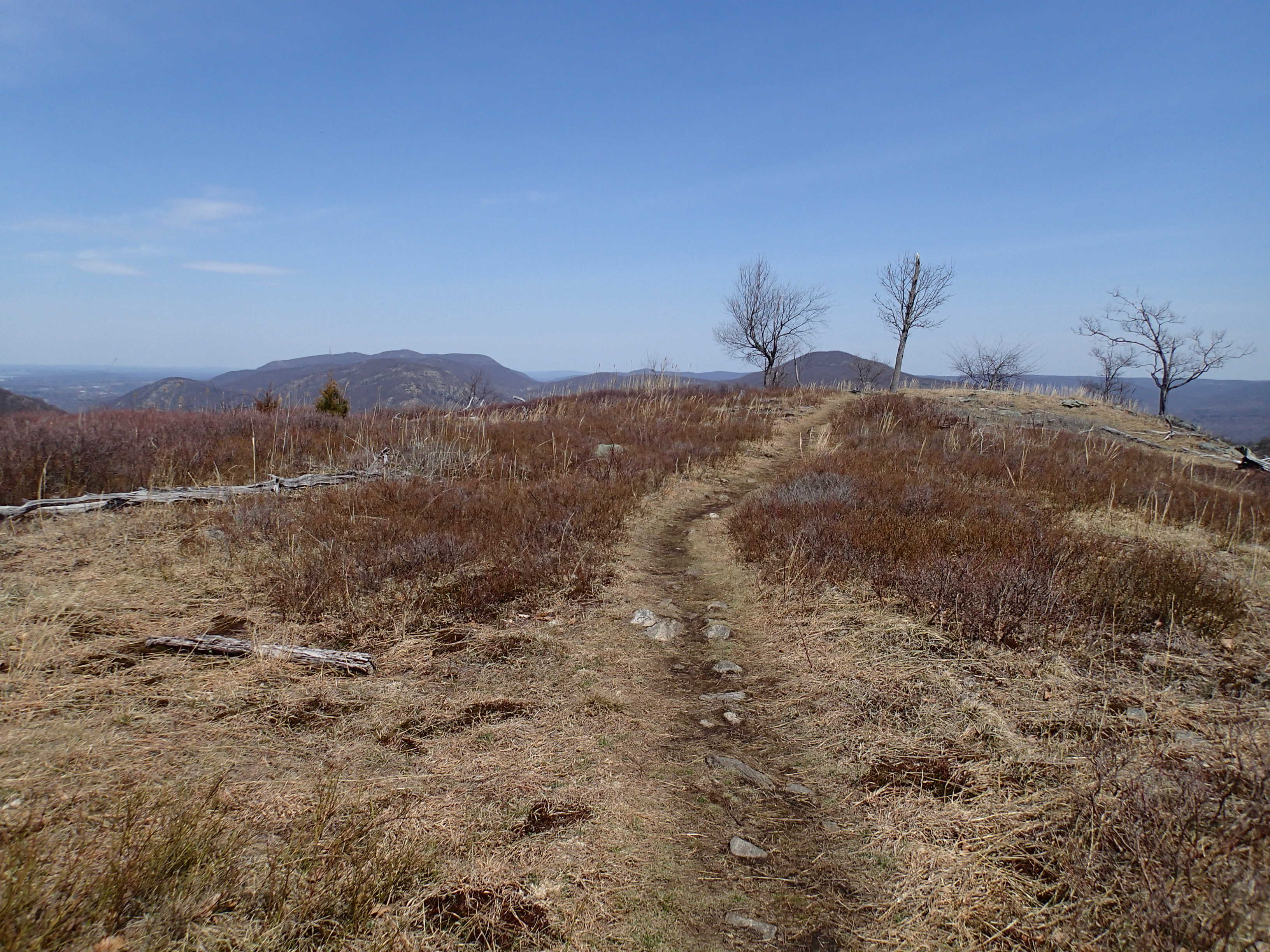 Hike the North Point Loop
