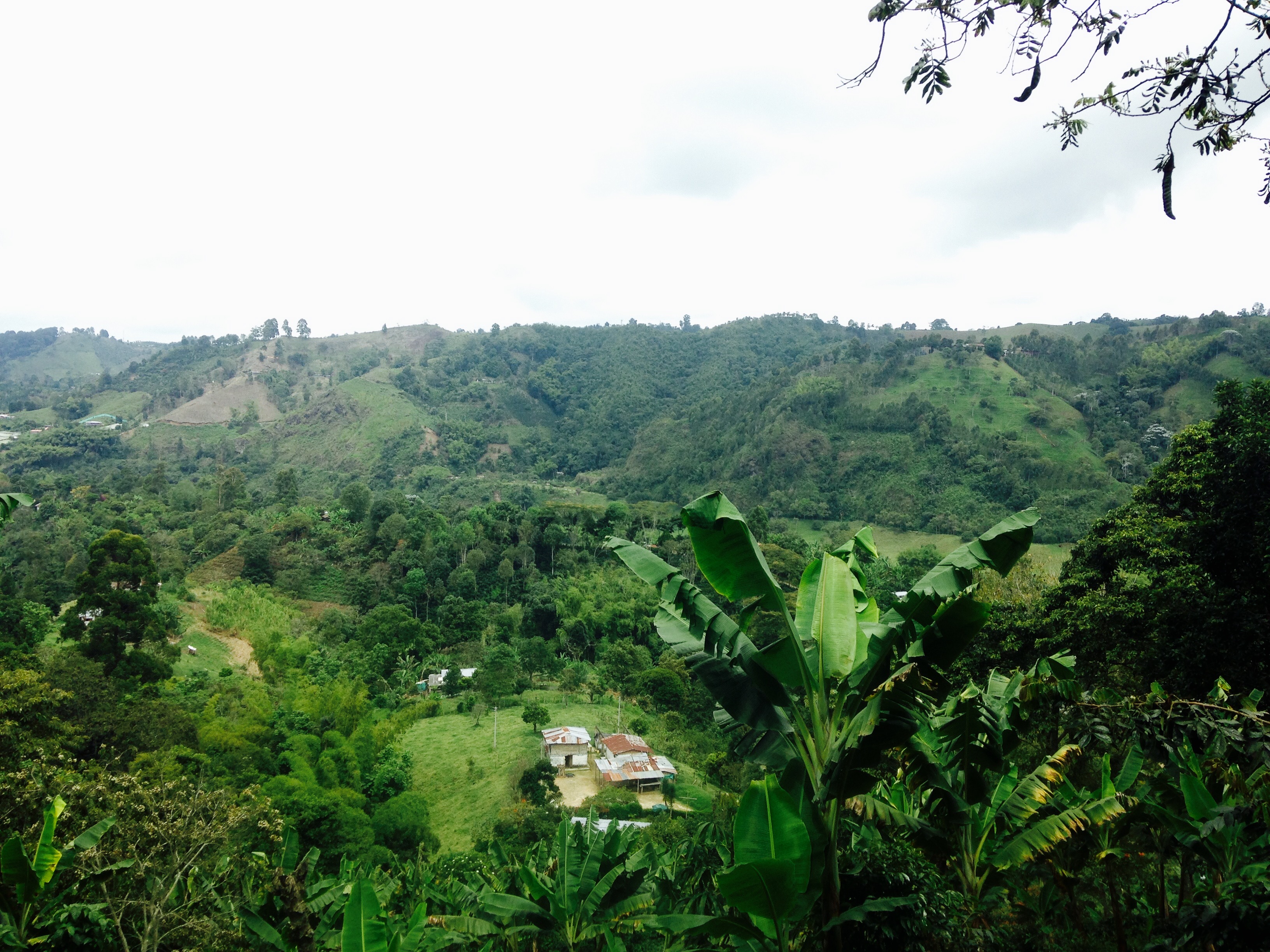 Explore the Coffee Valley