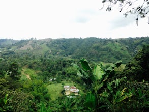 Explore the Coffee Valley