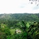 Explore the Coffee Valley