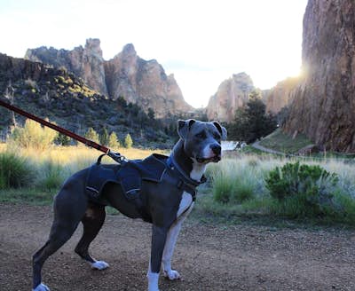 Bring your Dog to Smith Rock