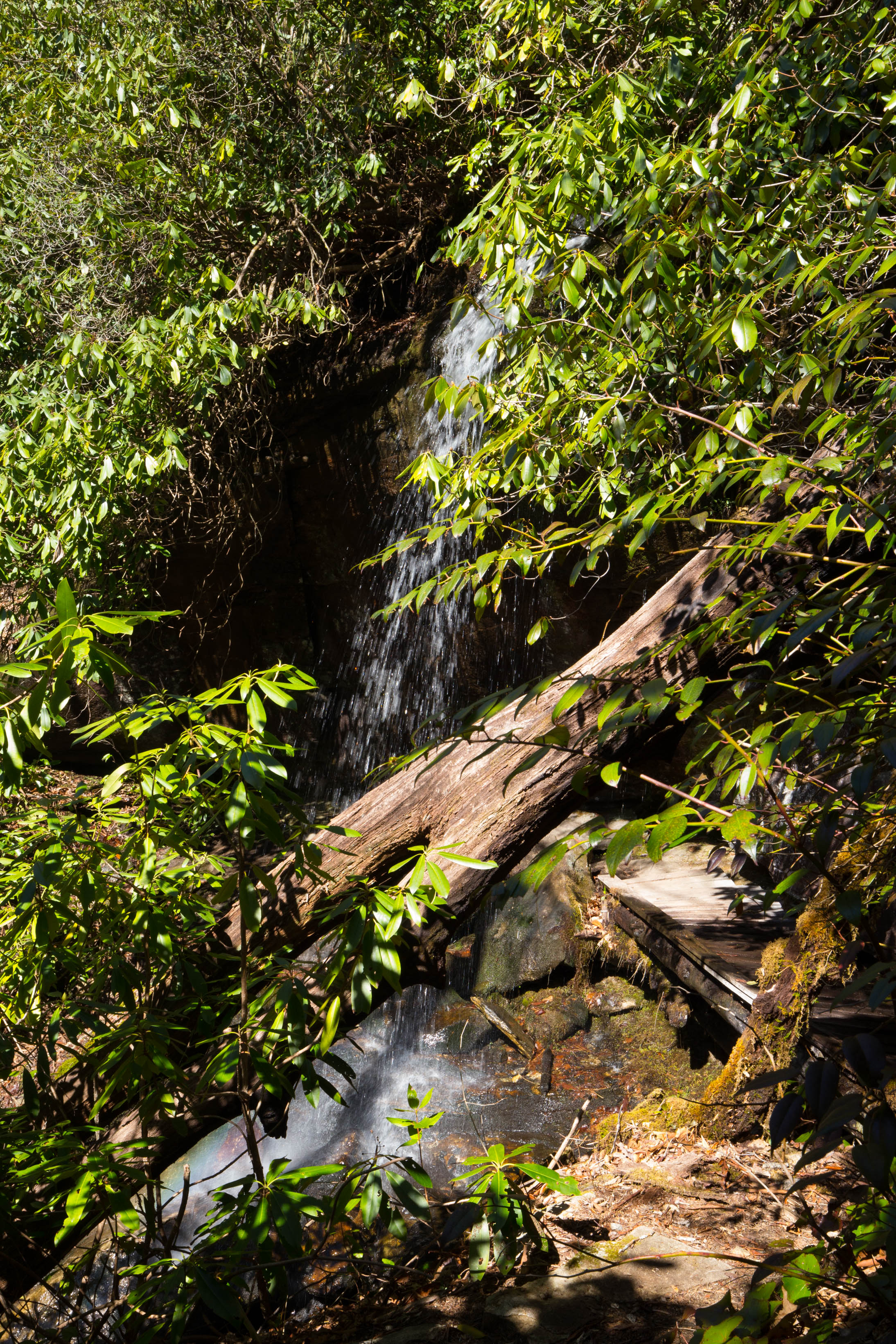Hike to Raven Rock Falls