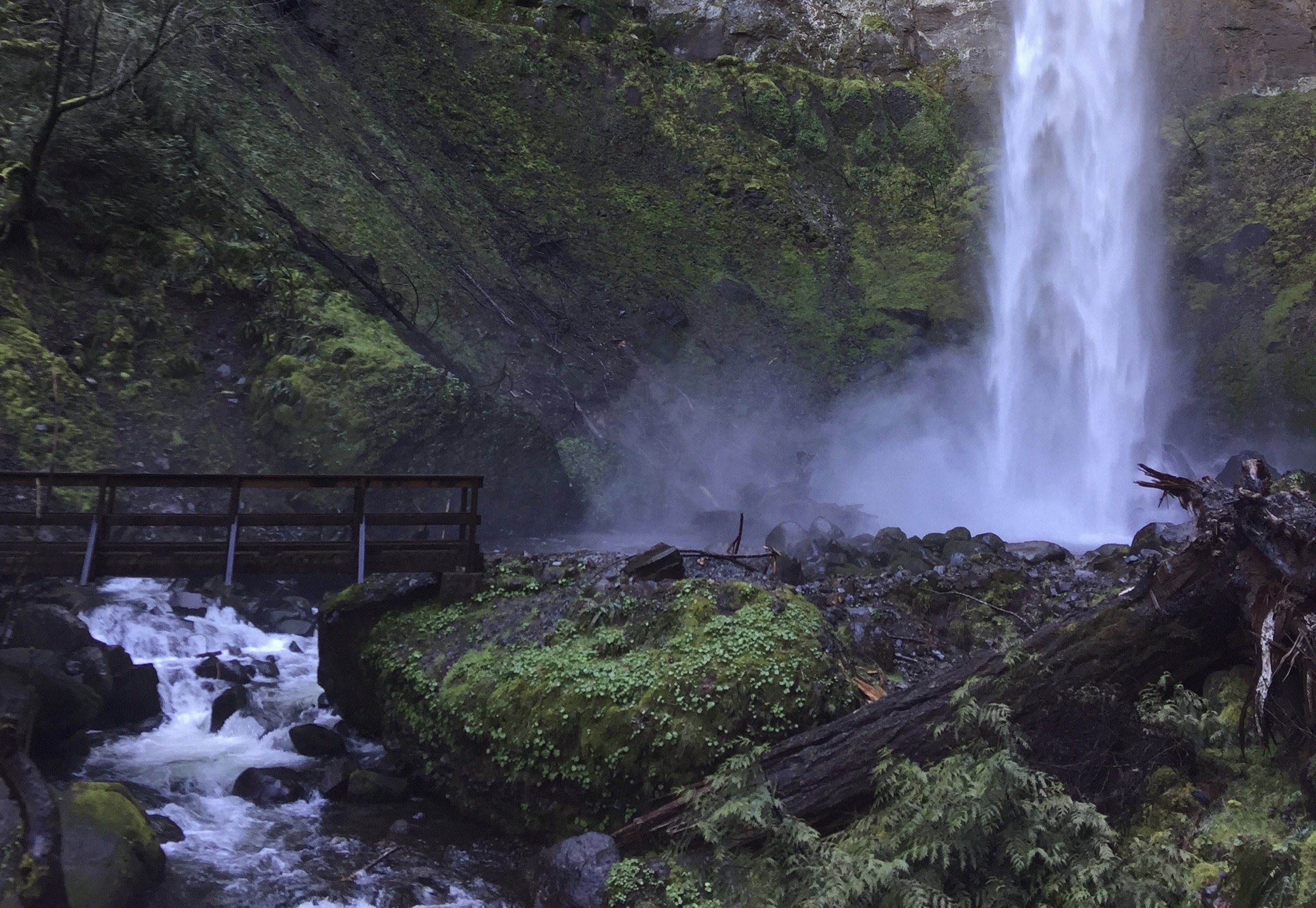 Elowah Falls