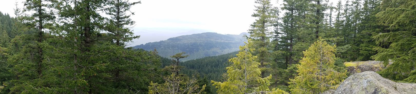 North Butte via Chuckanut Trail