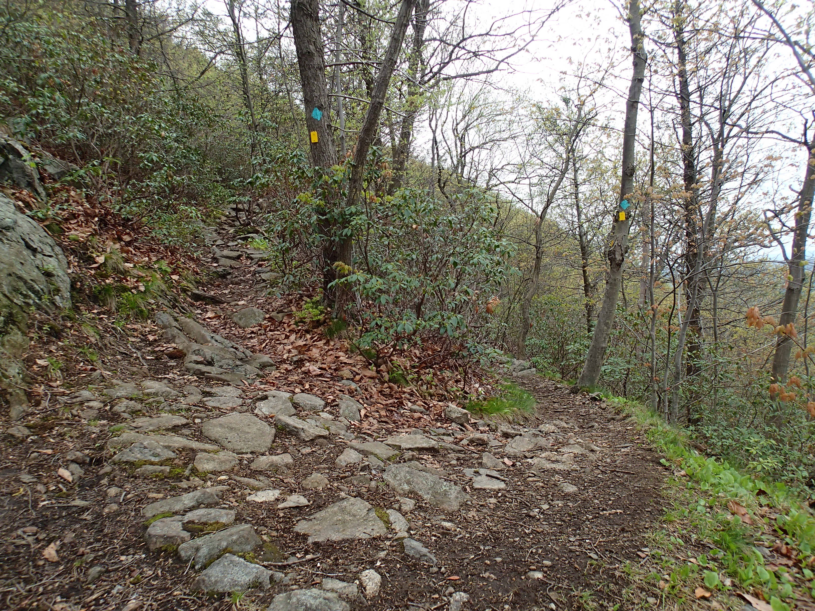 Hike the Stillman - Bluebird Loop