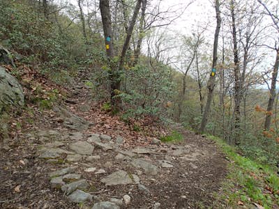 Hike the Stillman - Bluebird Loop