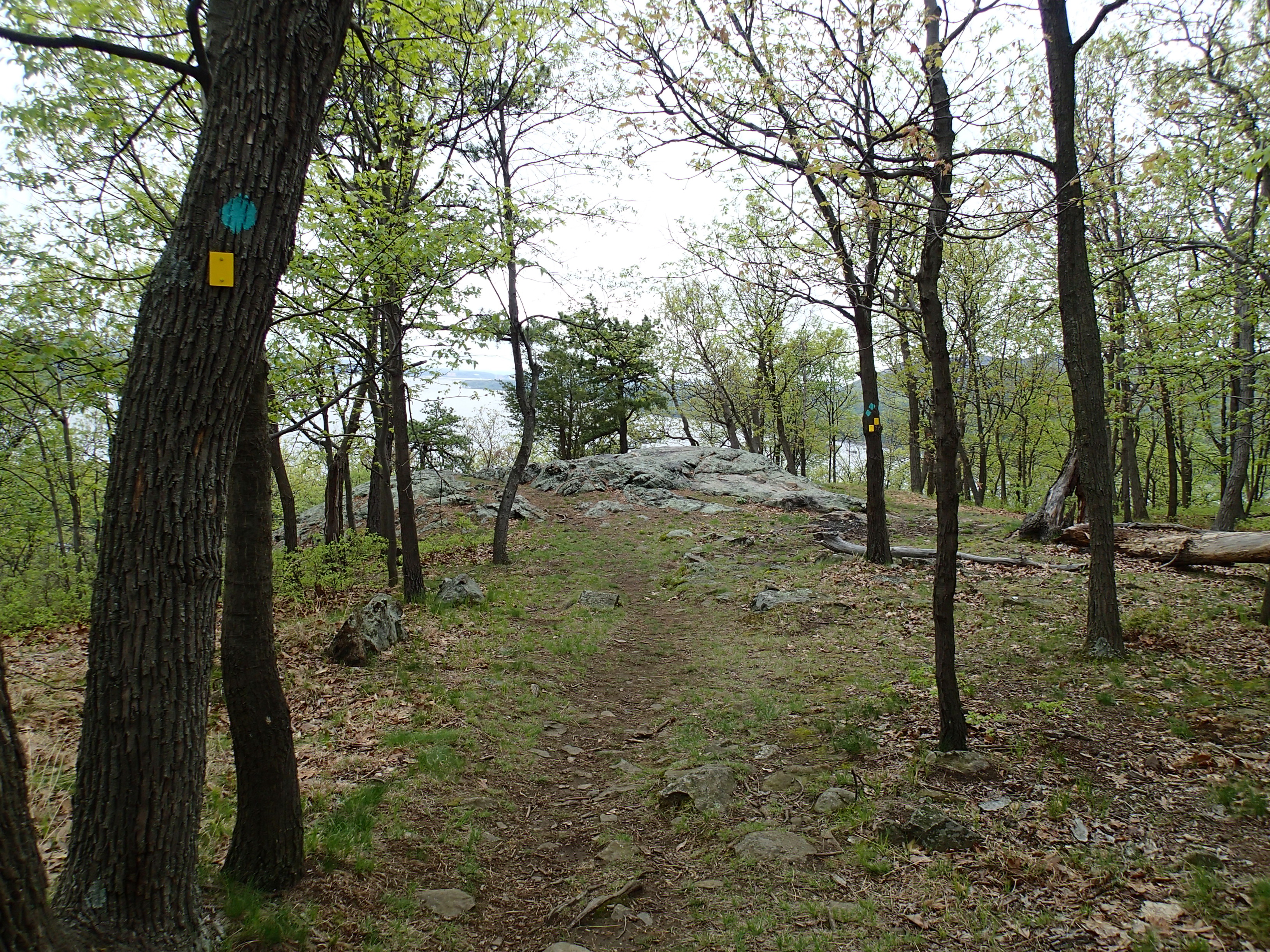 Hike the Stillman Bluebird Loop, CornwallonHudson, New York