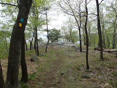 Hike the Stillman - Bluebird Loop