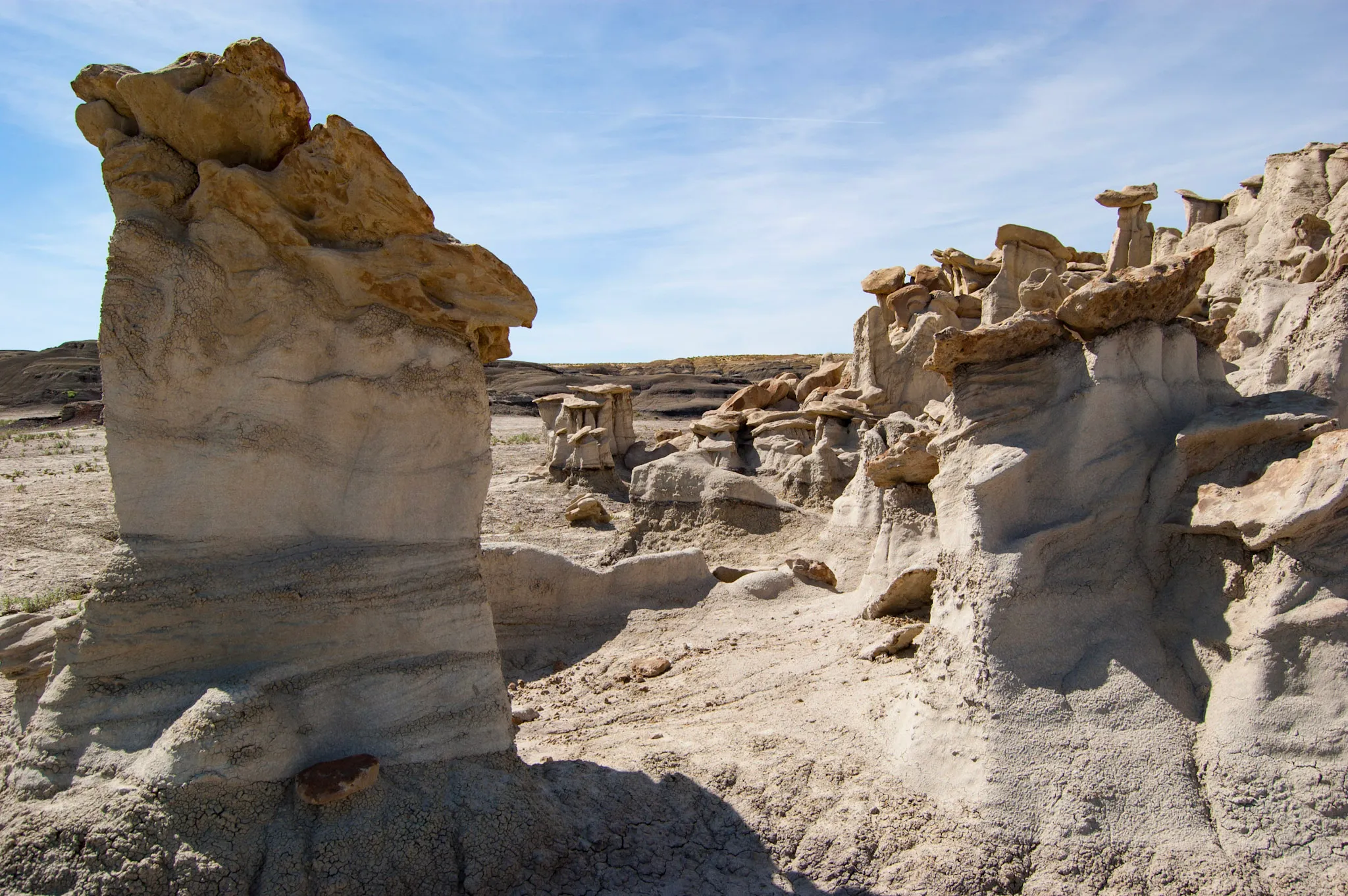 Explore Bisti Badlands/De-Na-Zin Wilderness