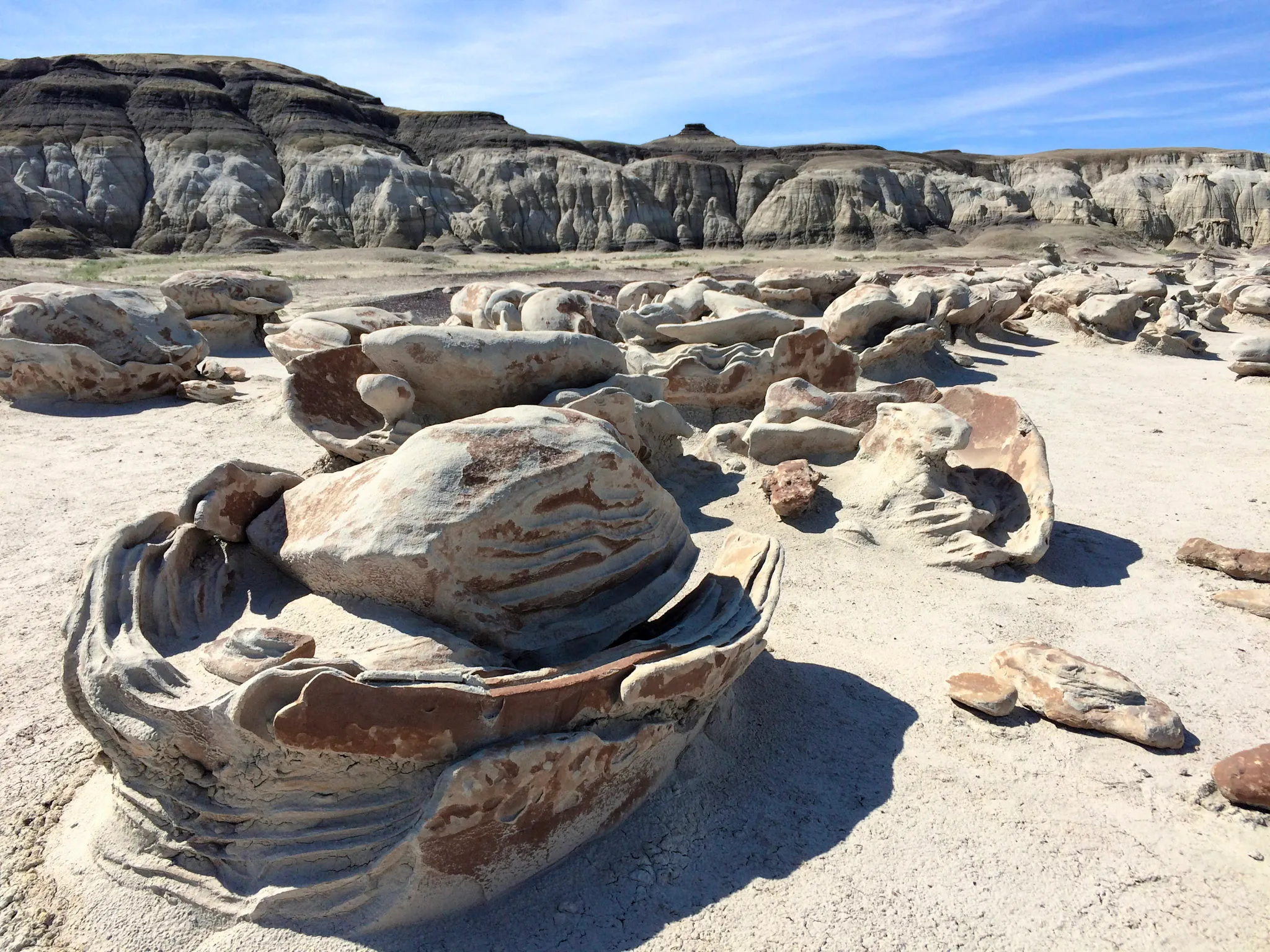 Explore Bisti Badlands/De-Na-Zin Wilderness