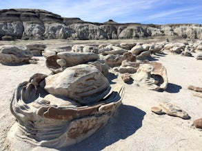 Explore Bisti Badlands/De-Na-Zin Wilderness