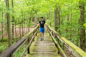 Hike the Dismal Swamp Loop
