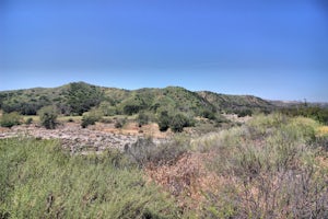 Hike the Pinhead Peak Trail at Ronald W. Caspers Wilderness Park