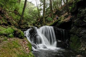 Hike the Spruce Brook Ravine