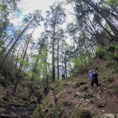 Hike the Spruce Brook Ravine