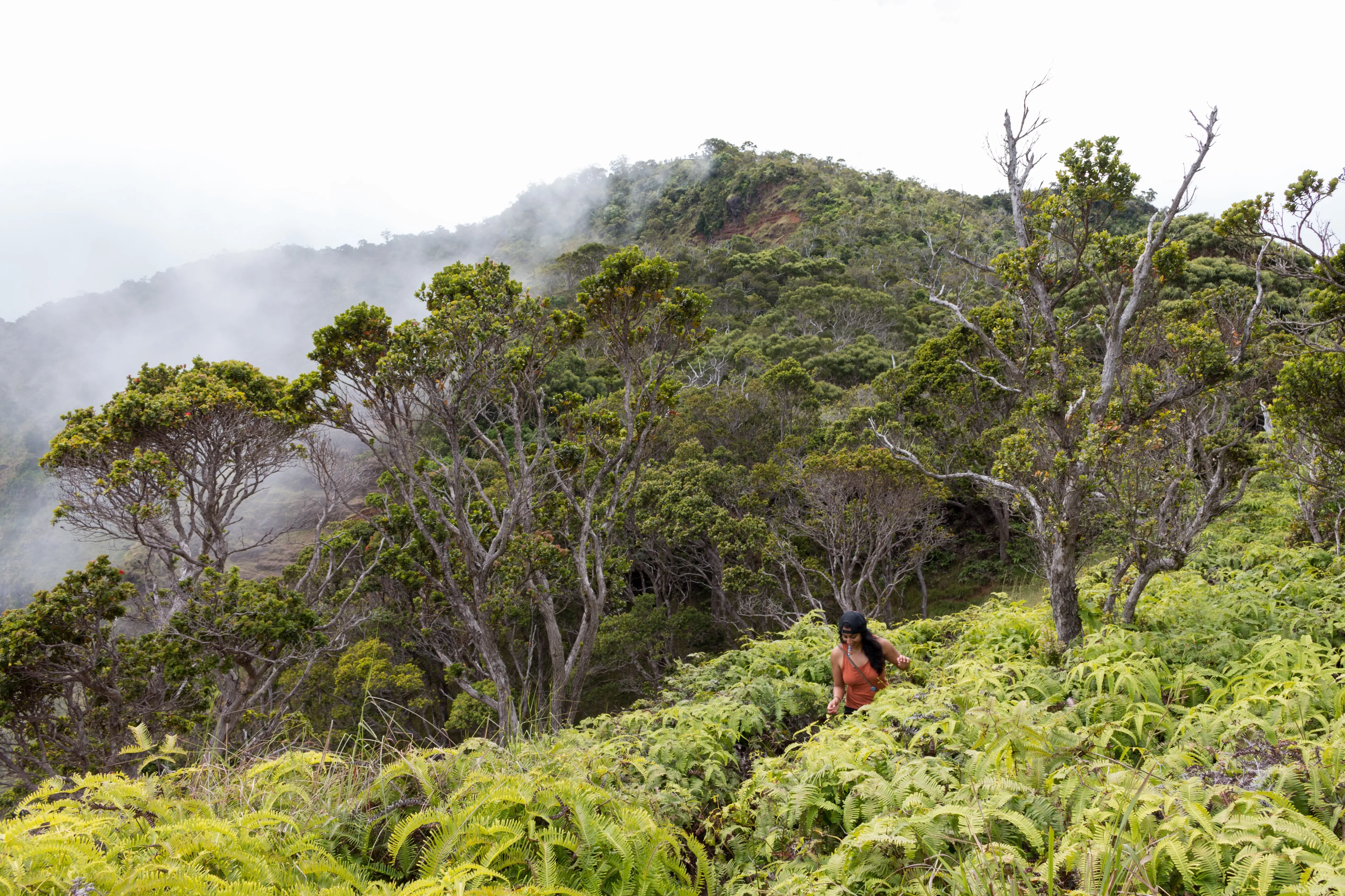 Hike Kalepa Ridge