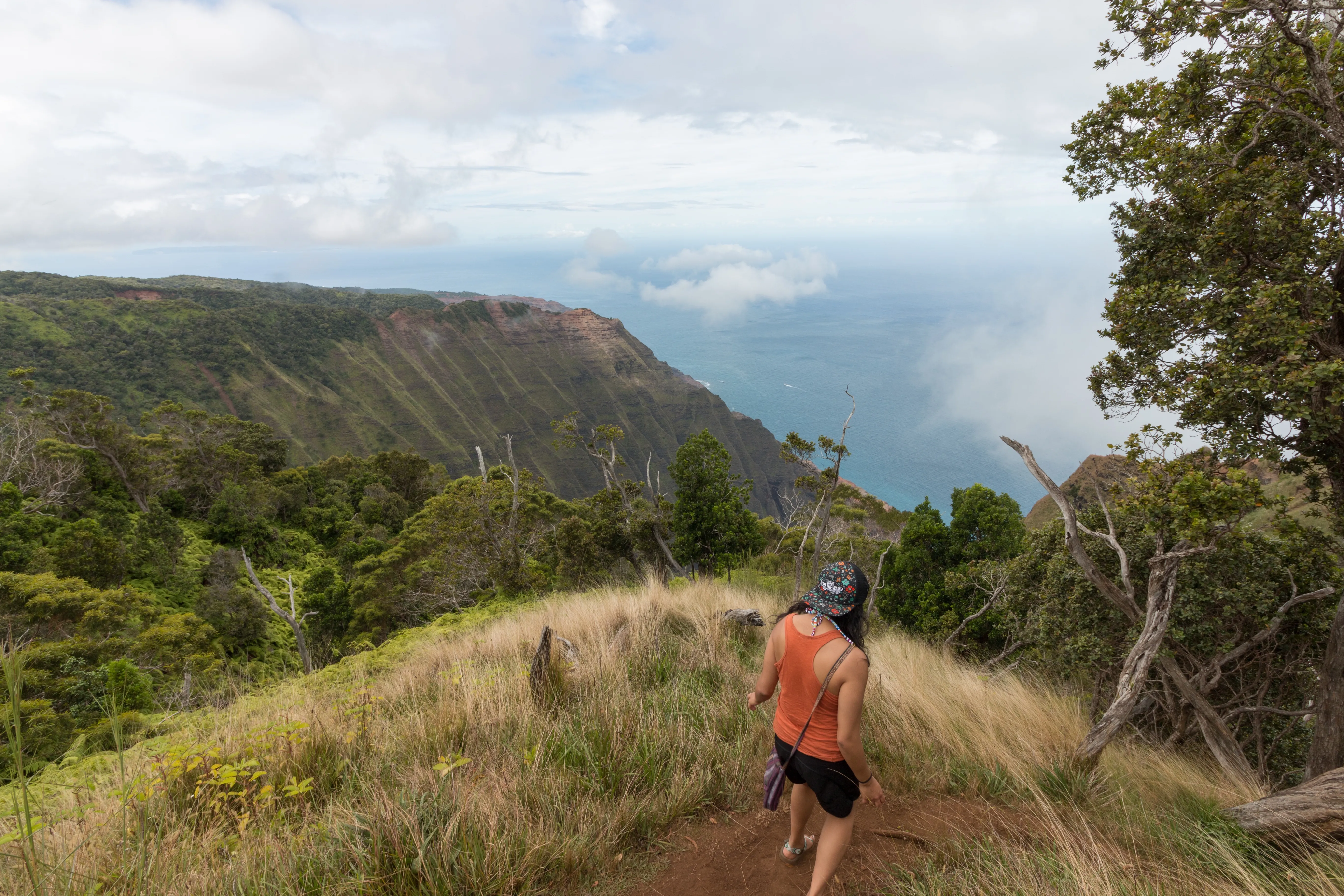 Hike Kalepa Ridge