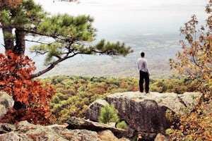 5 Hikes With Stunning Views in Arkansas