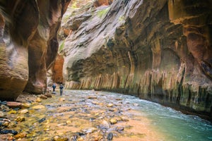 A Mesmerizing Experience Hiking The Narrows in Zion National Park