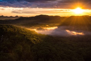 Hike the Auxier Ridge Trail, KY