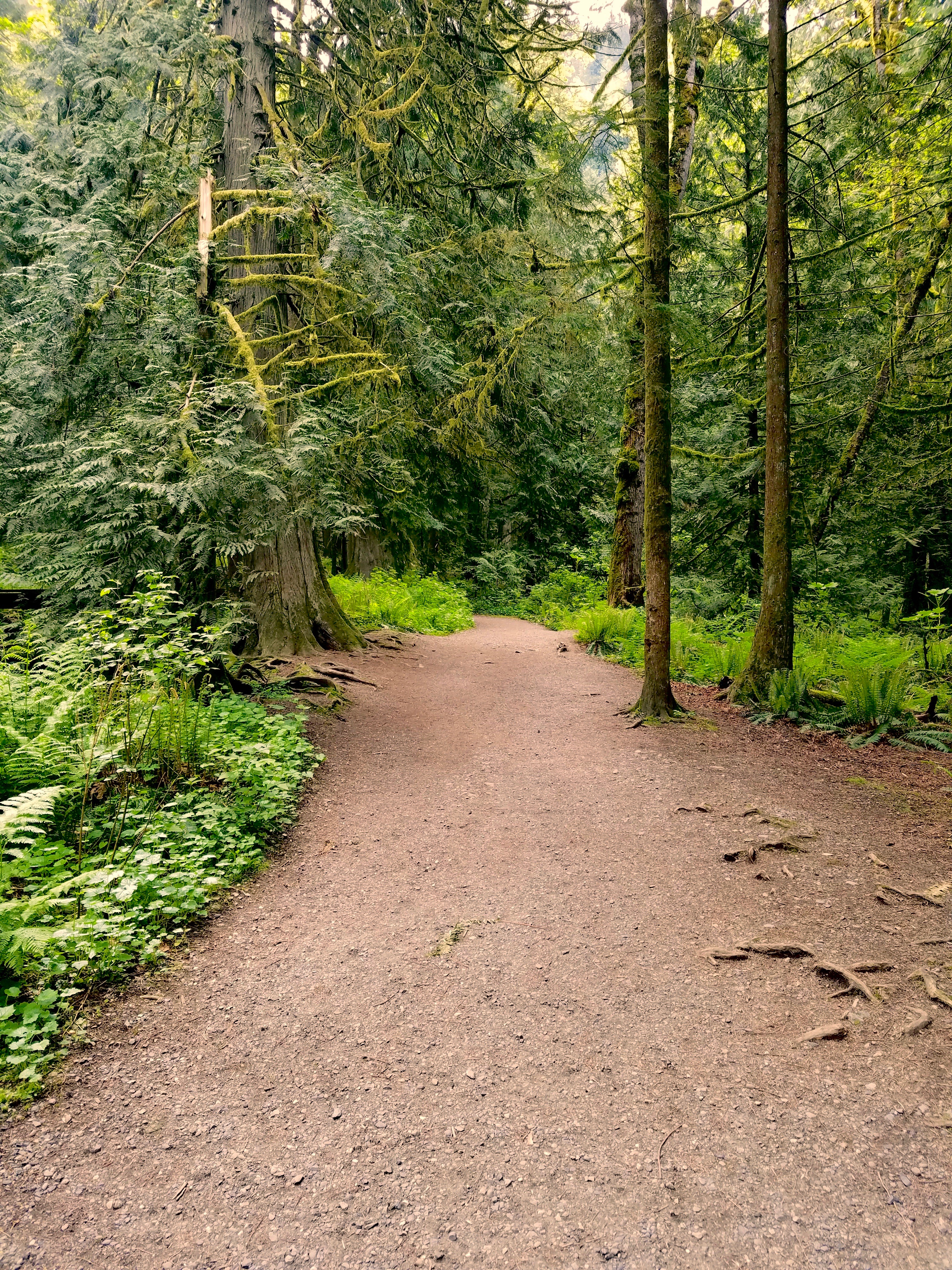 Explore Bridal Veil Falls in Chilliwack