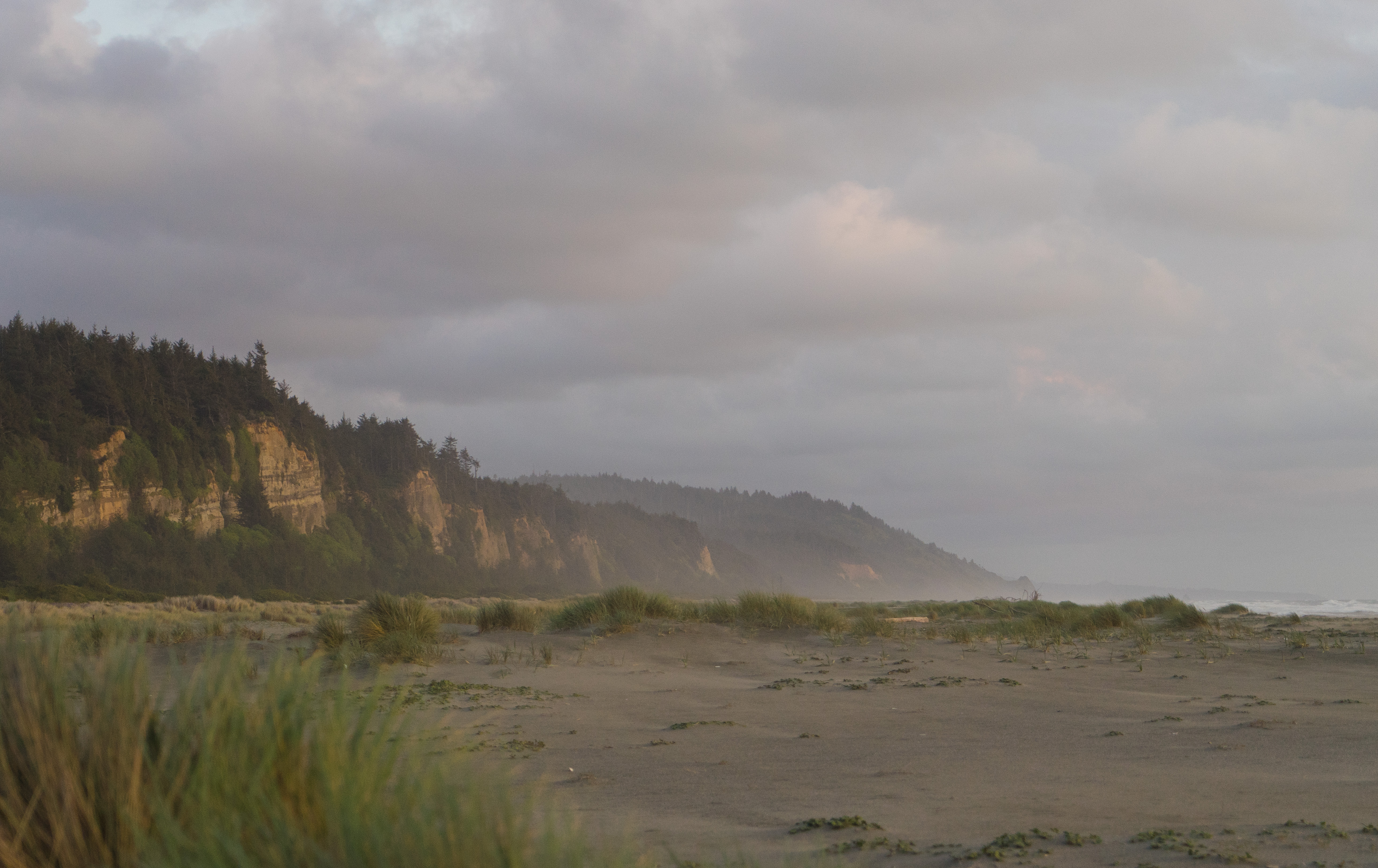 Prairie Creek Redwoods Loop