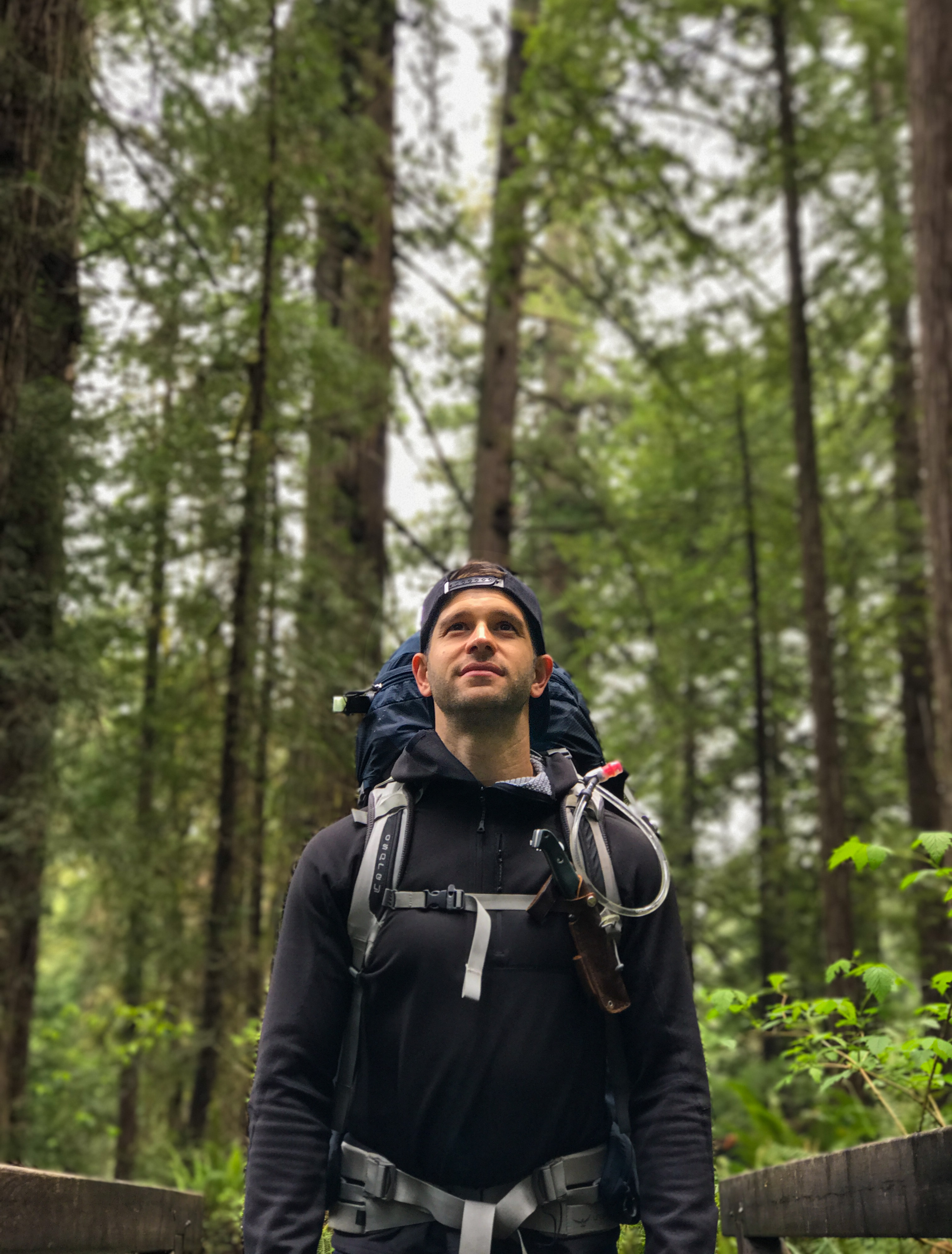 Prairie Creek Redwoods Loop