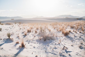 White Sands Adventures in the Land of Enchantment 