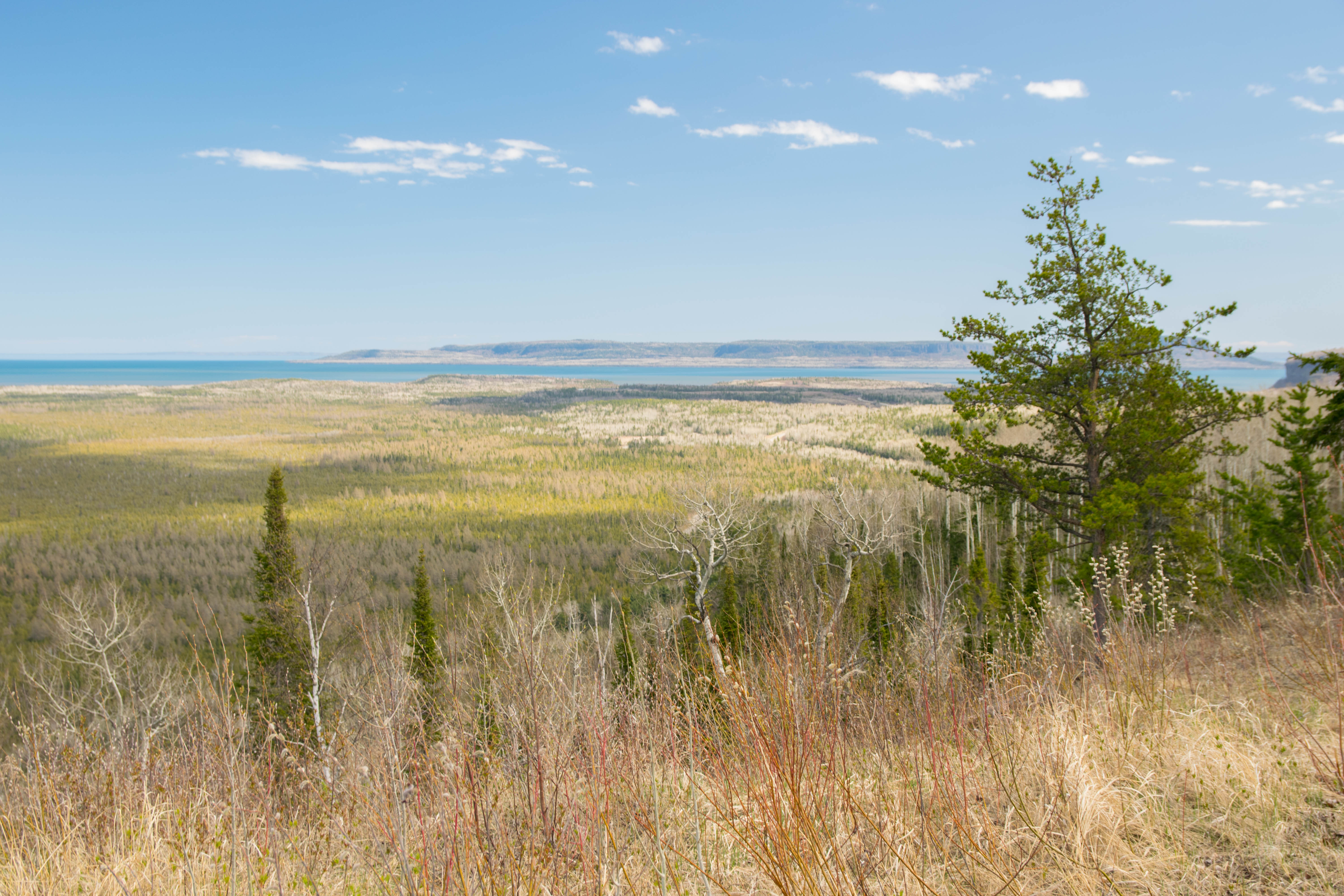 Visit Mount McKay Lookout