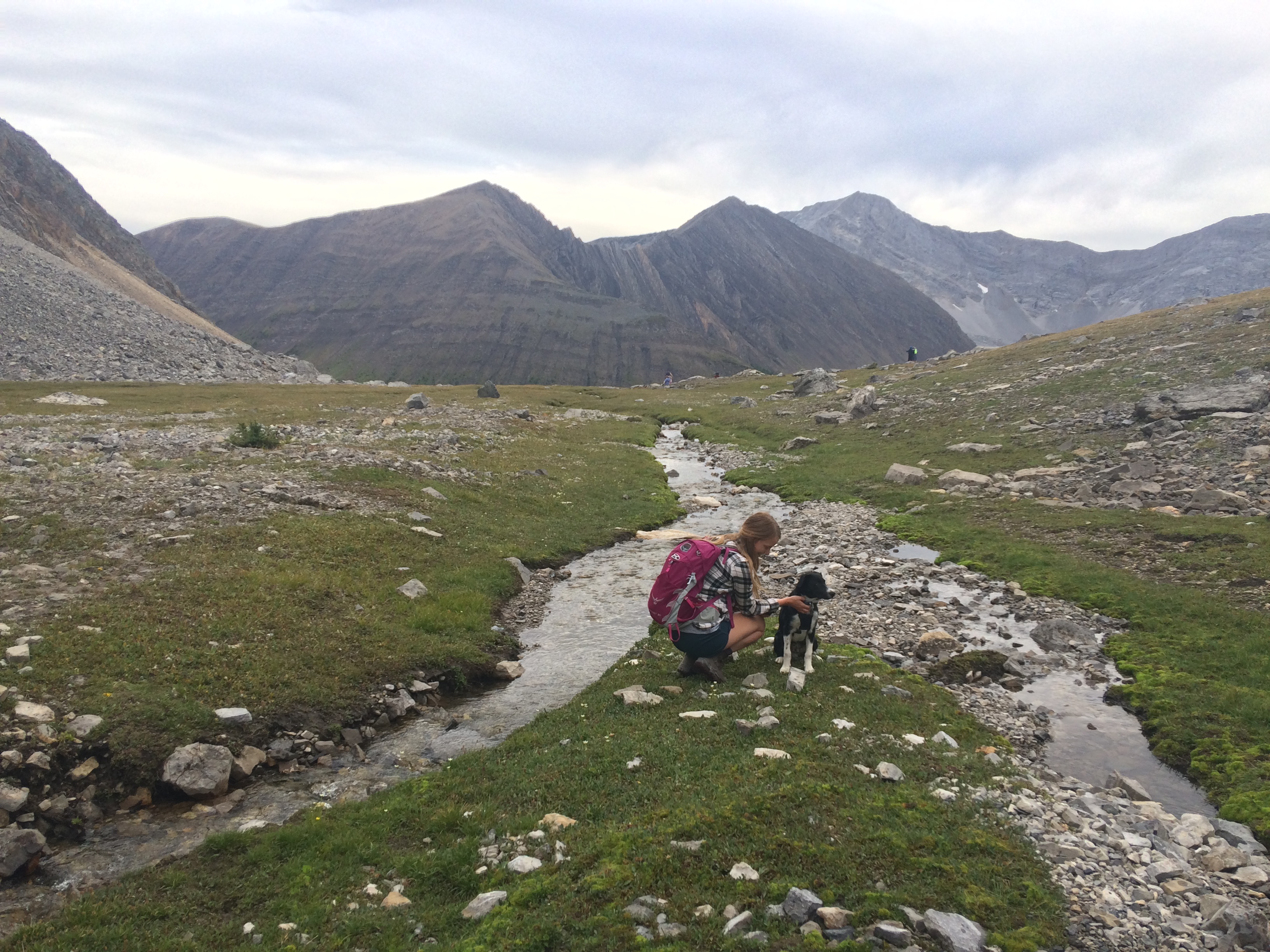 Hike Ptarmigan Cirque 