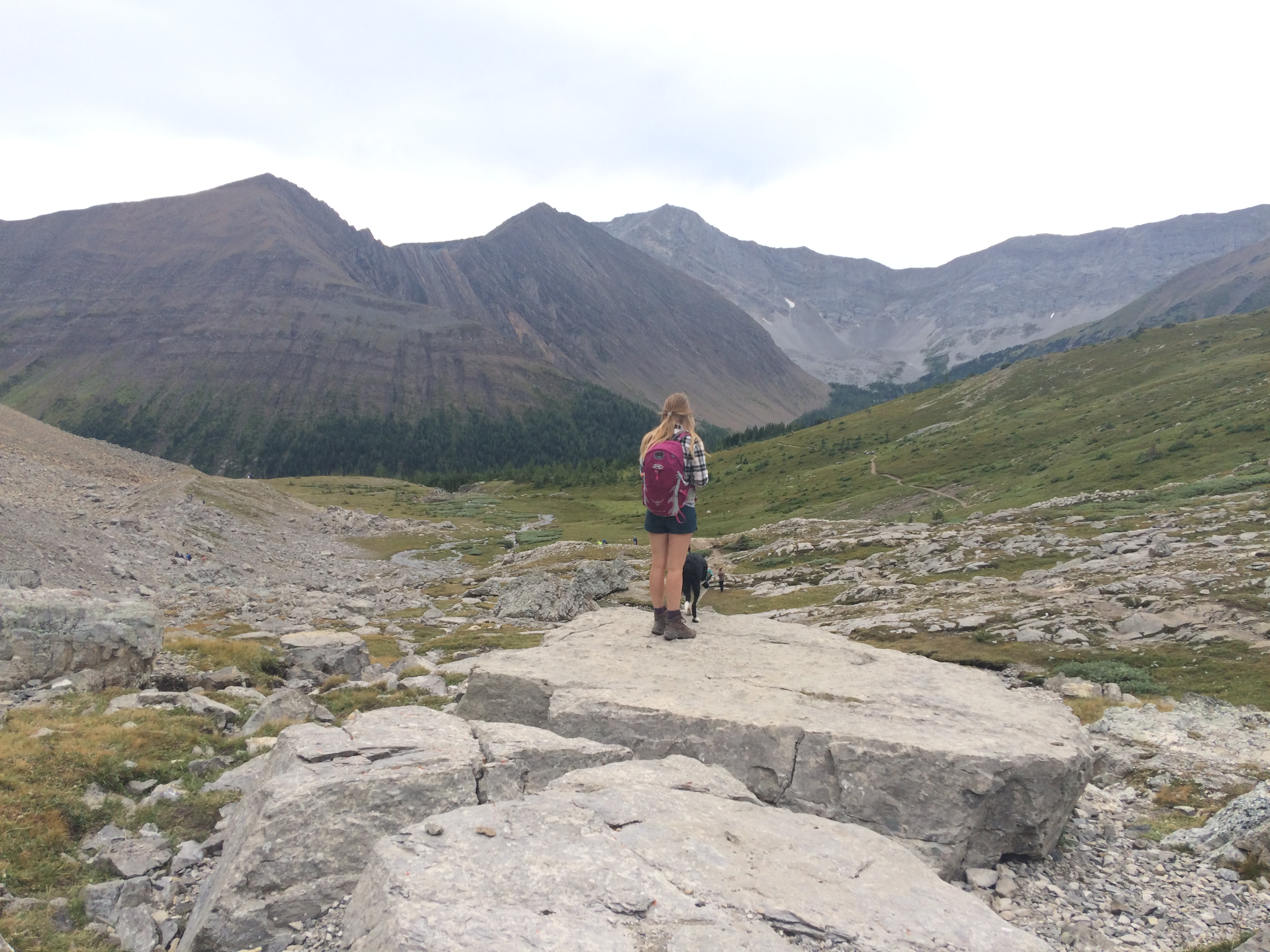 Hike Ptarmigan Cirque 