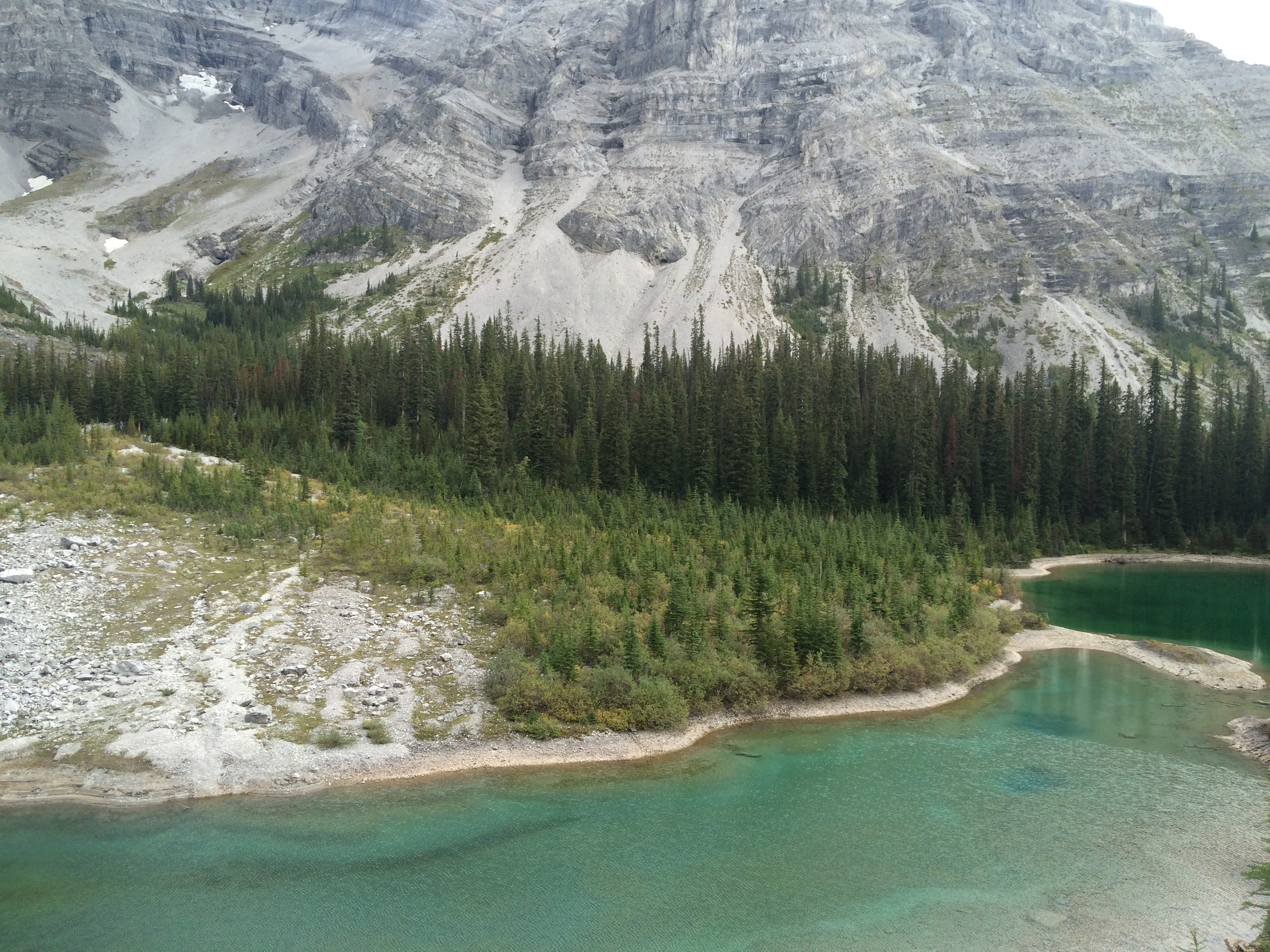 Memorial Lakes 