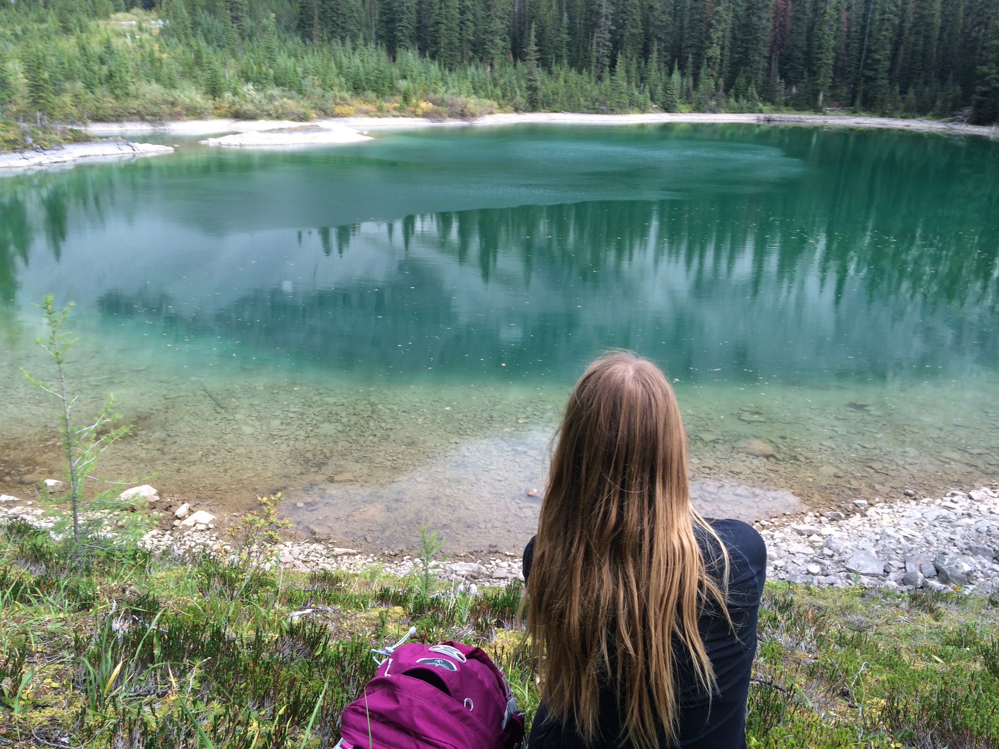 Memorial Lakes 