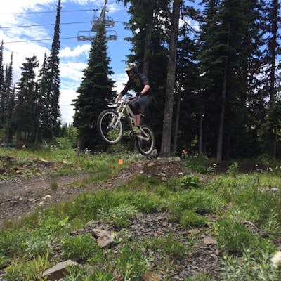 Mountain Bike at Sun Peaks Resort
